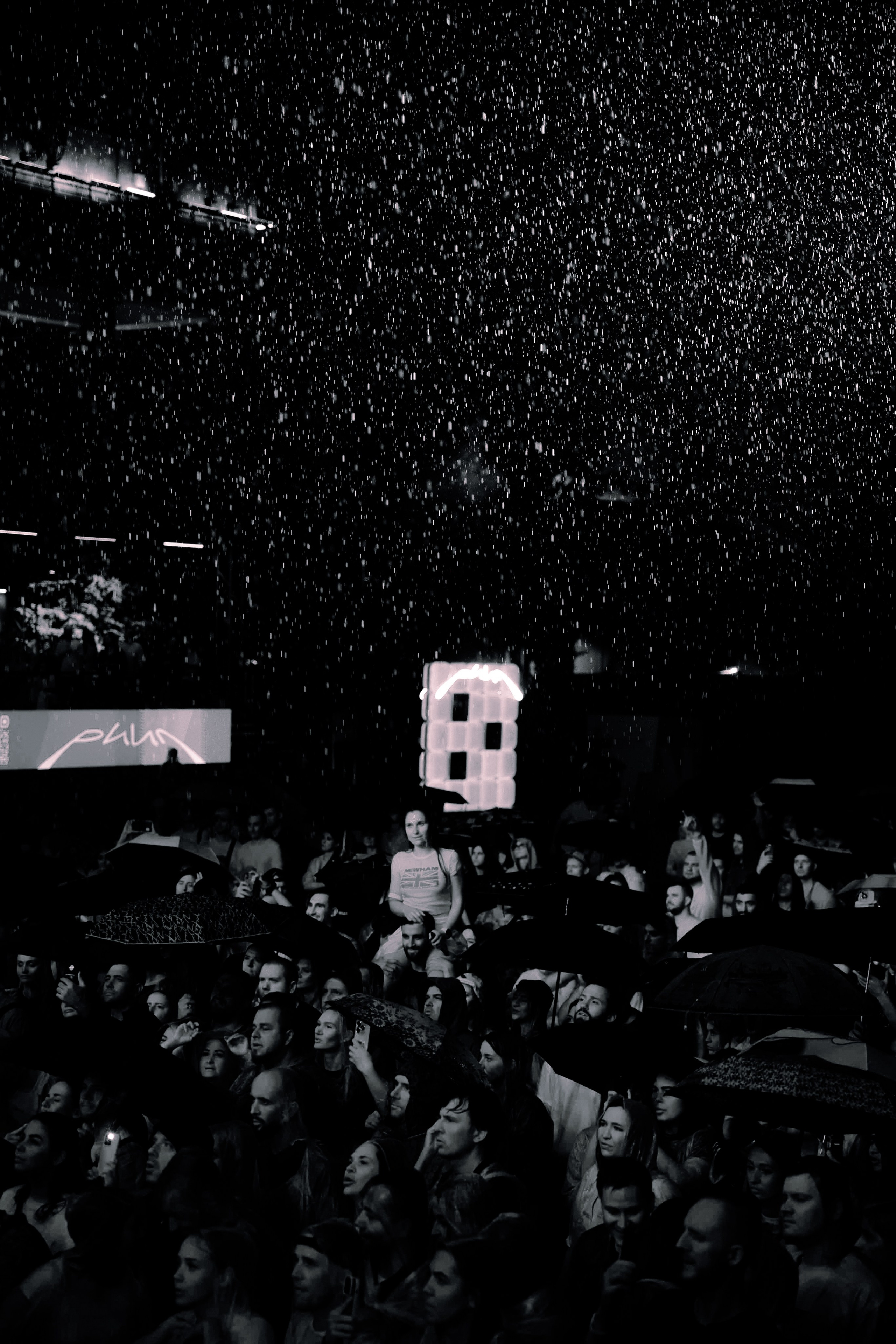 LOC-DOG. Фотограф Москва