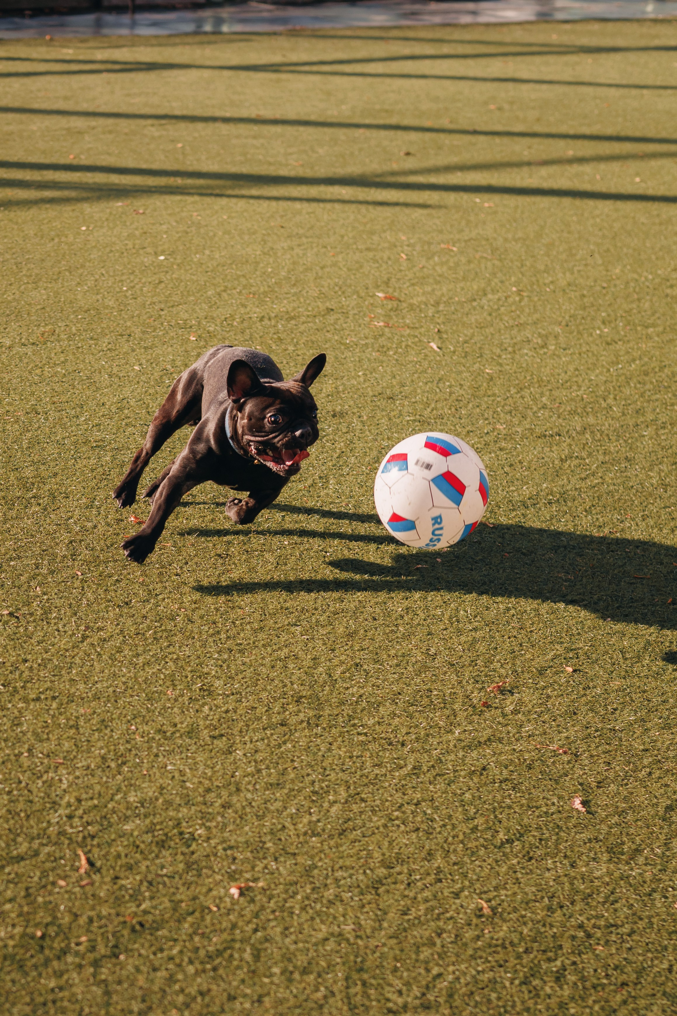 Детский семейный фотограф. Детский и семейный фотограф  Биробиджан Оля Светагор