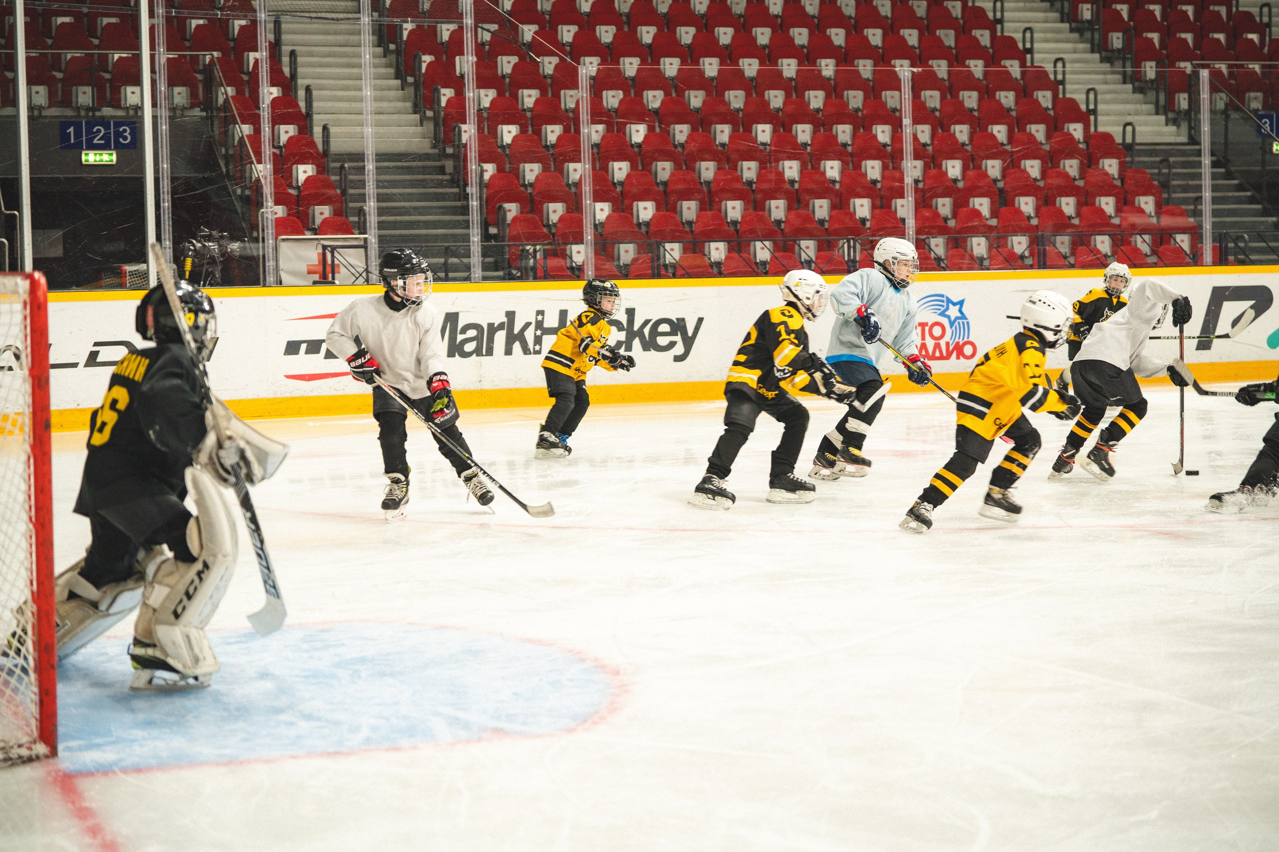 ХК Северсталь (младшая группа). Череповец. Zekons. Фото, видео, нейросети