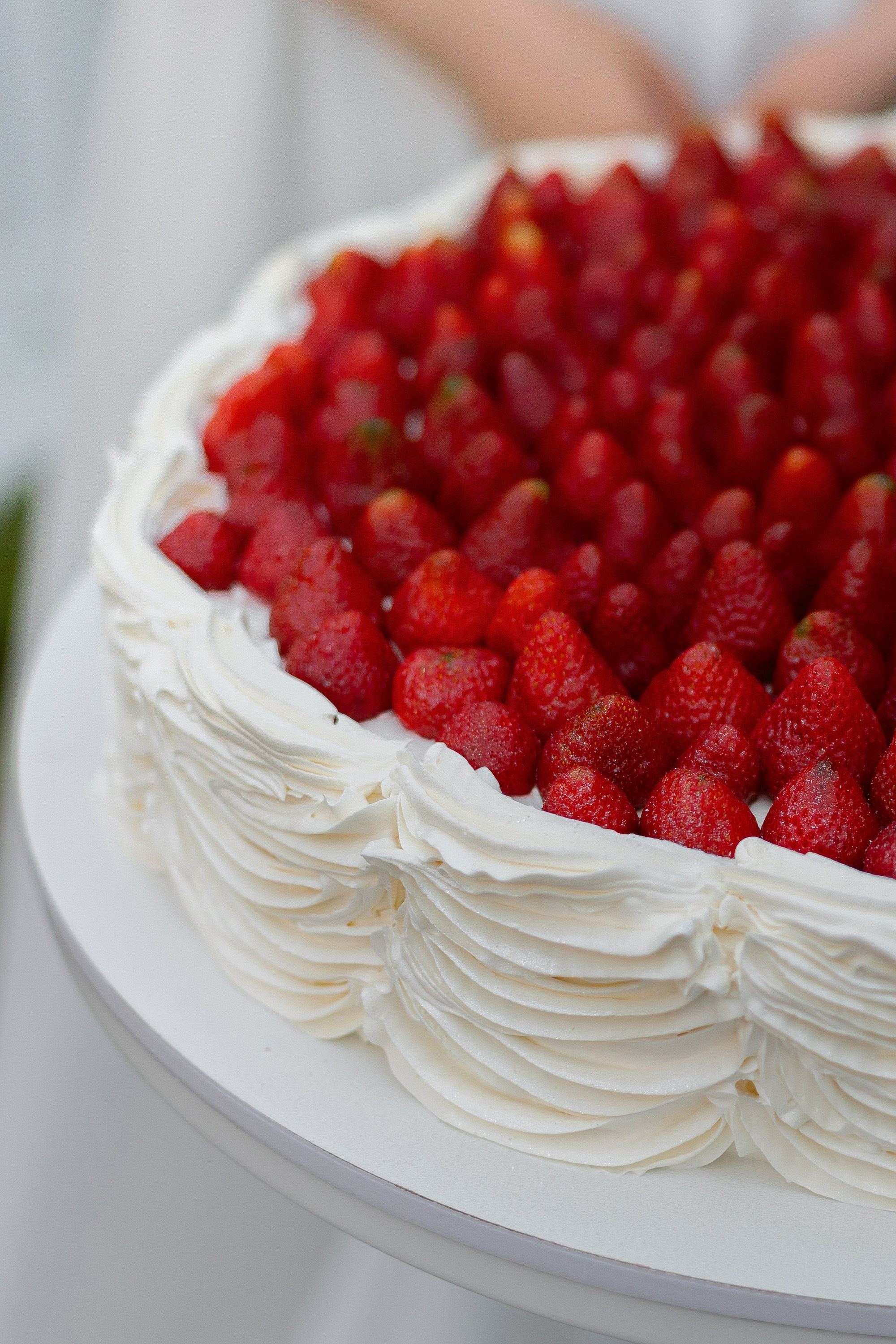 Магия чувств. Свадебный фотограф в Томске | Александр Овчаренко