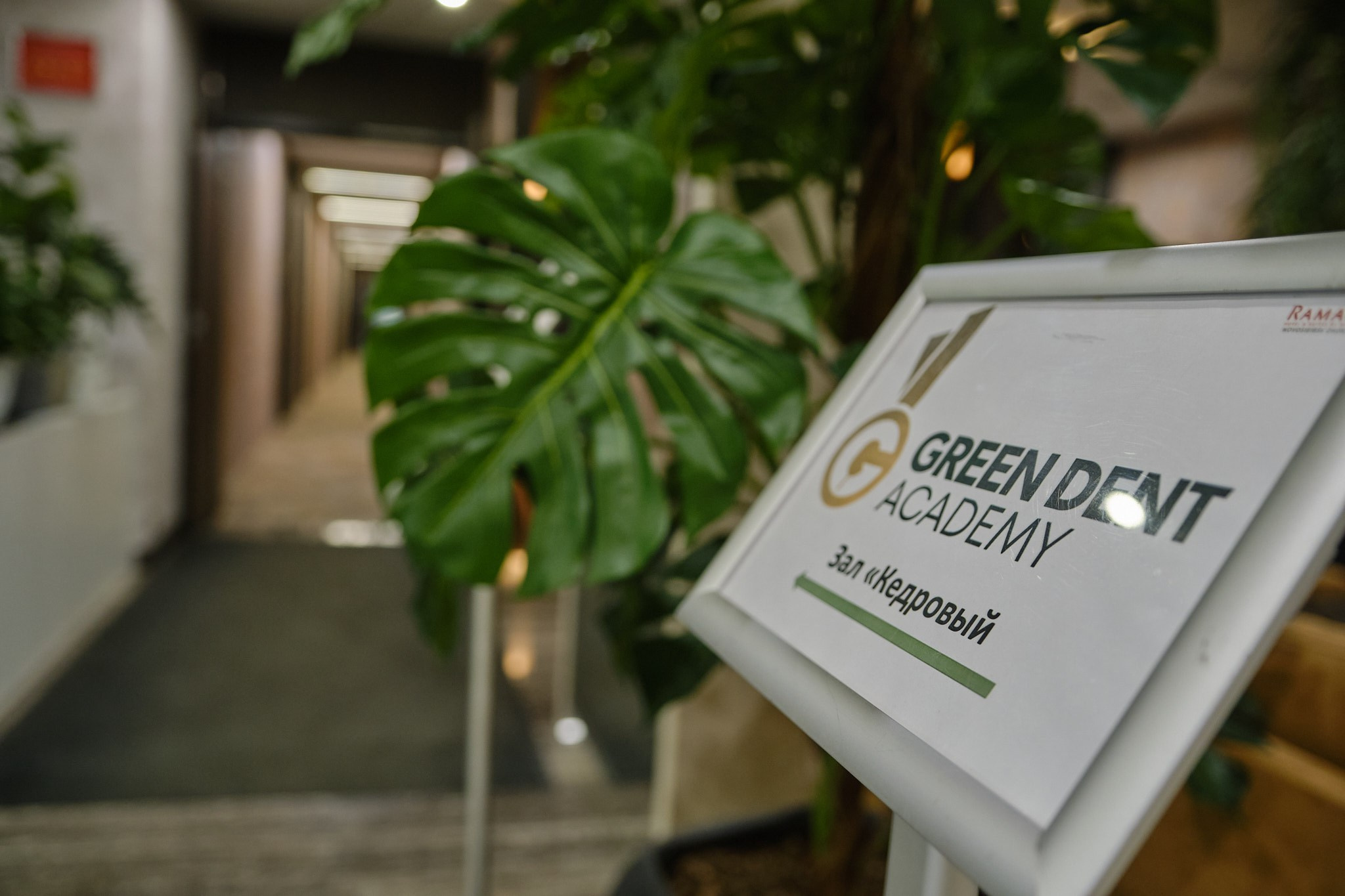 GREEN DENT. Репортажный фотограф в Новосибирске