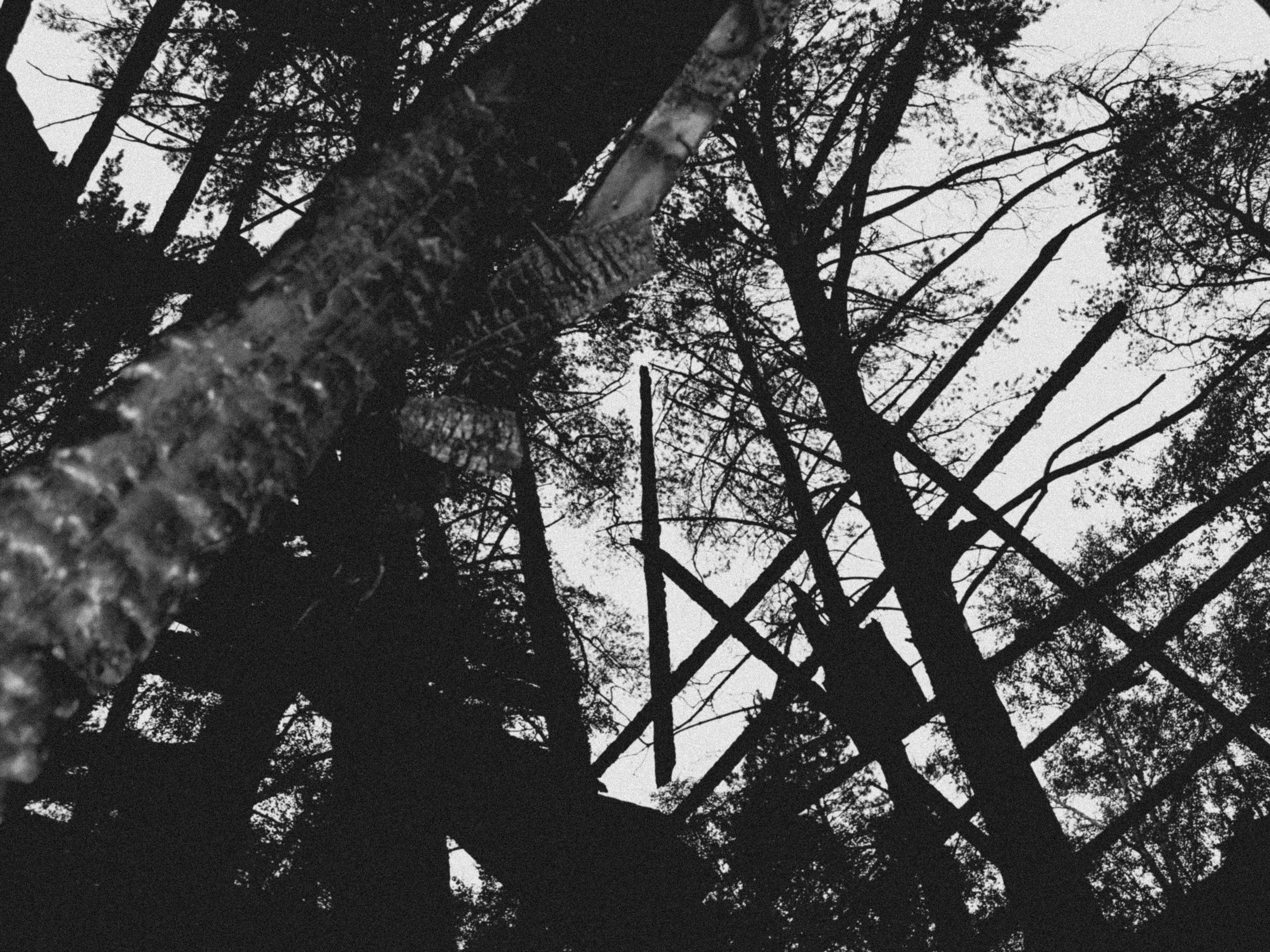 Summertime. Фотограф/дизайнер в Екатеринбурге Хитрый Дмитрий