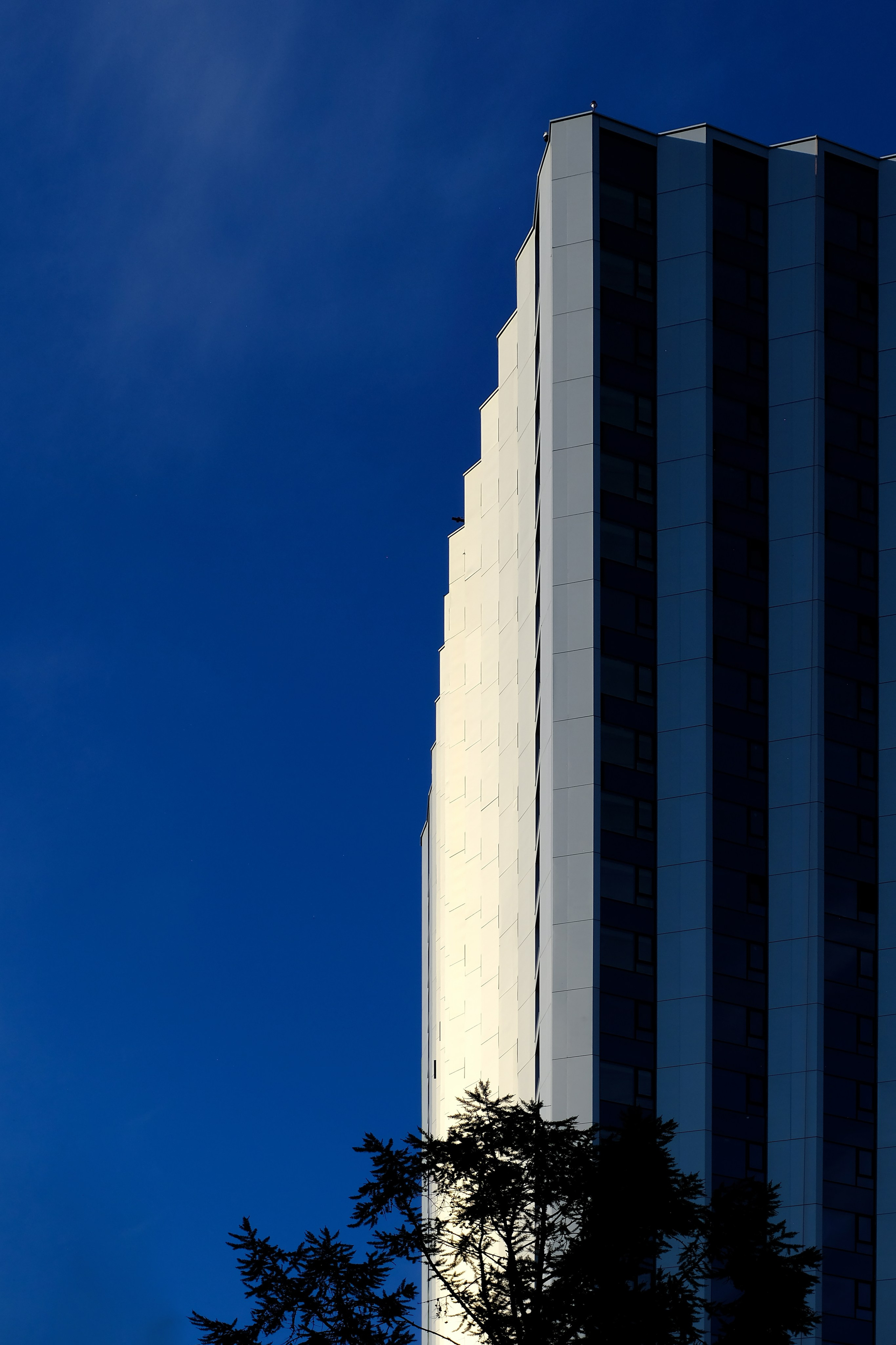 Residential Complex Moments Msk. Интерьерный архитектурный фотограф | interior architectural photographer