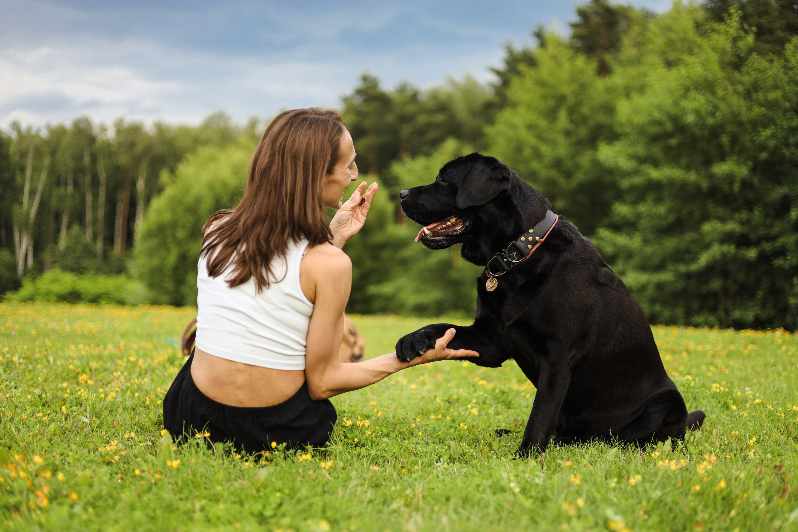Найт и Соня. Фотограф-анималист Ксения Шевцова|Москва