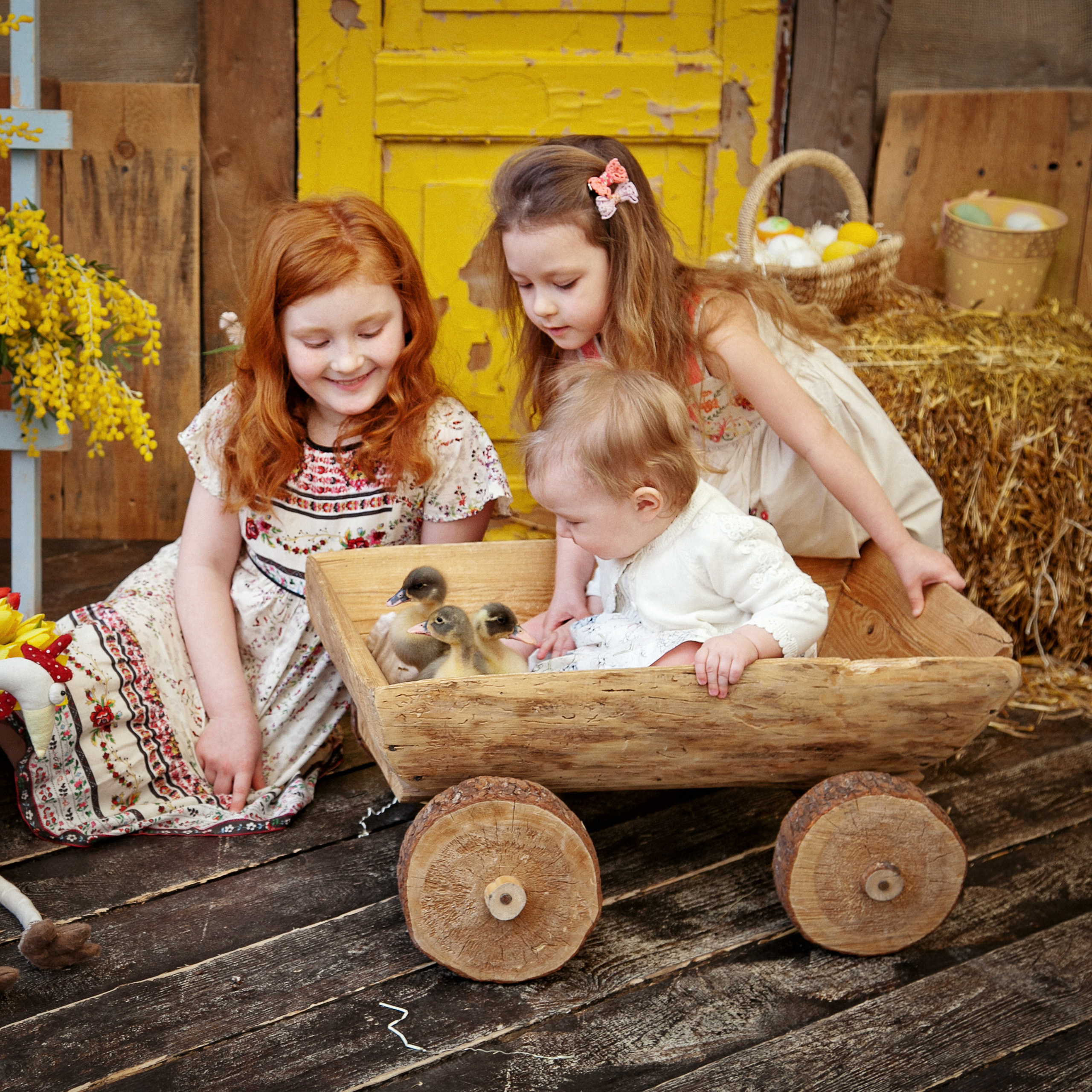 Истории. Семейный, детский, newborn фотограф Москва,Московская обл Алла Риэр