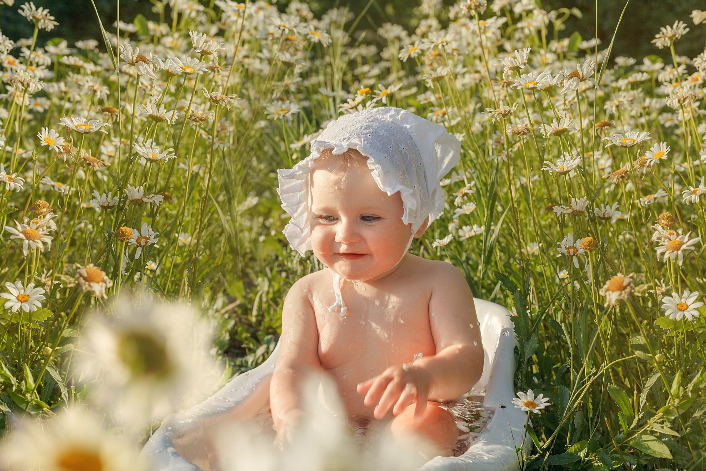 Ромашки. Детский и семейный фотограф в Бердске и Новосибирске Дарья Гребнева