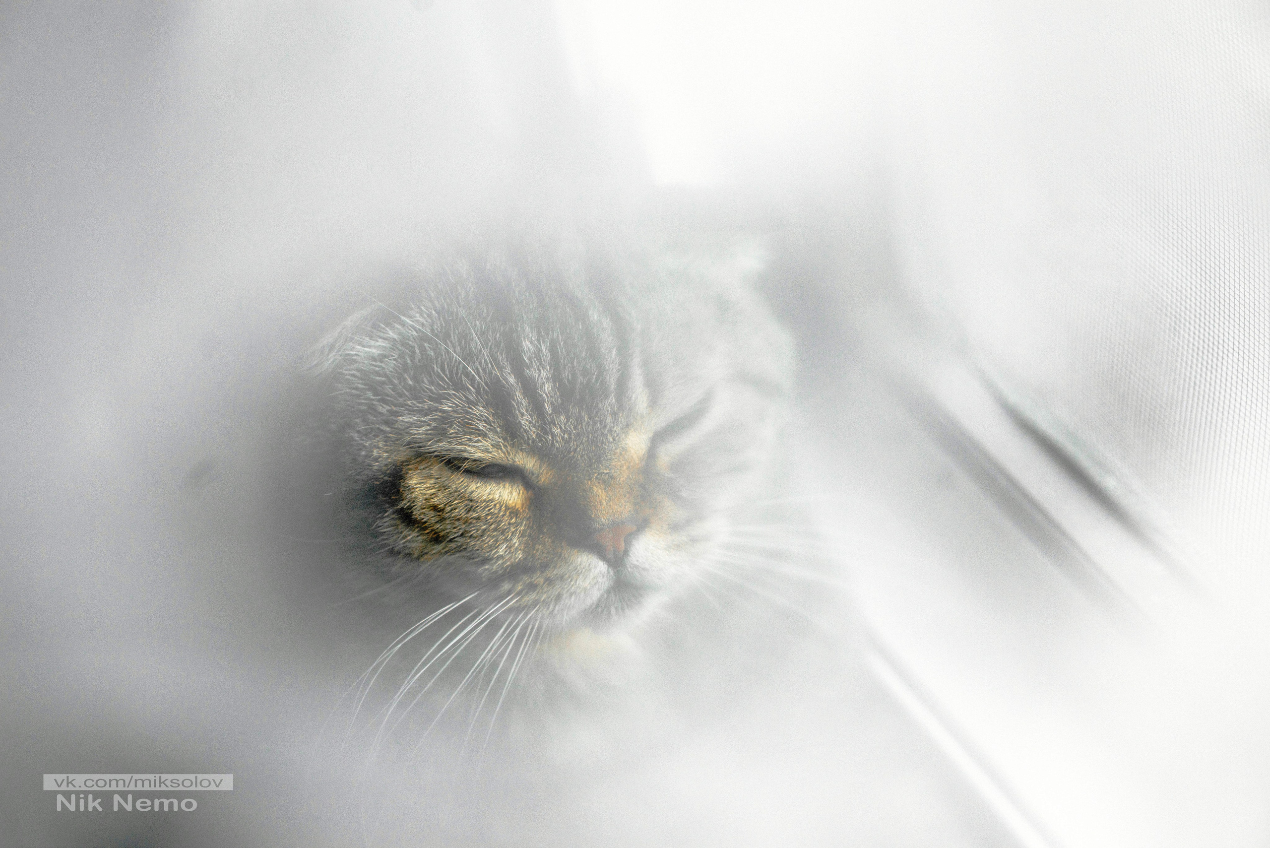 Живой мир. Фотография — моя жизнь