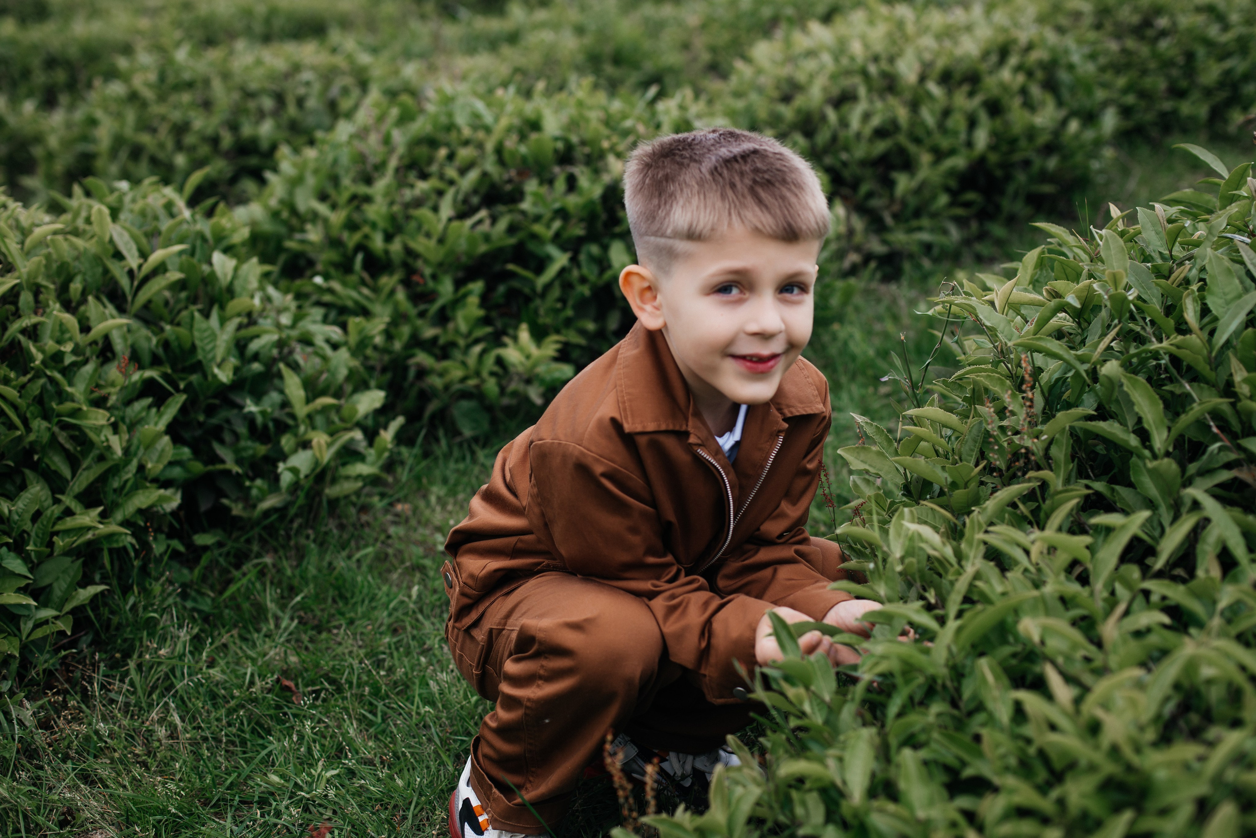 Tea plantation. Efimova Model Agency