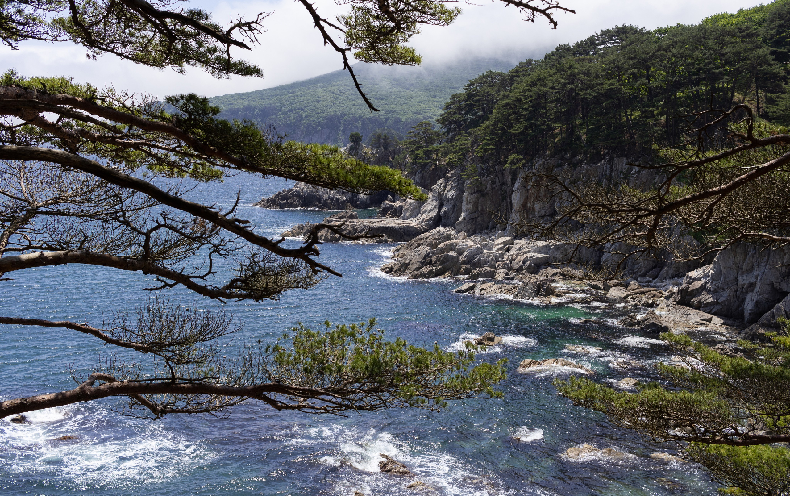 Константин Кириченко