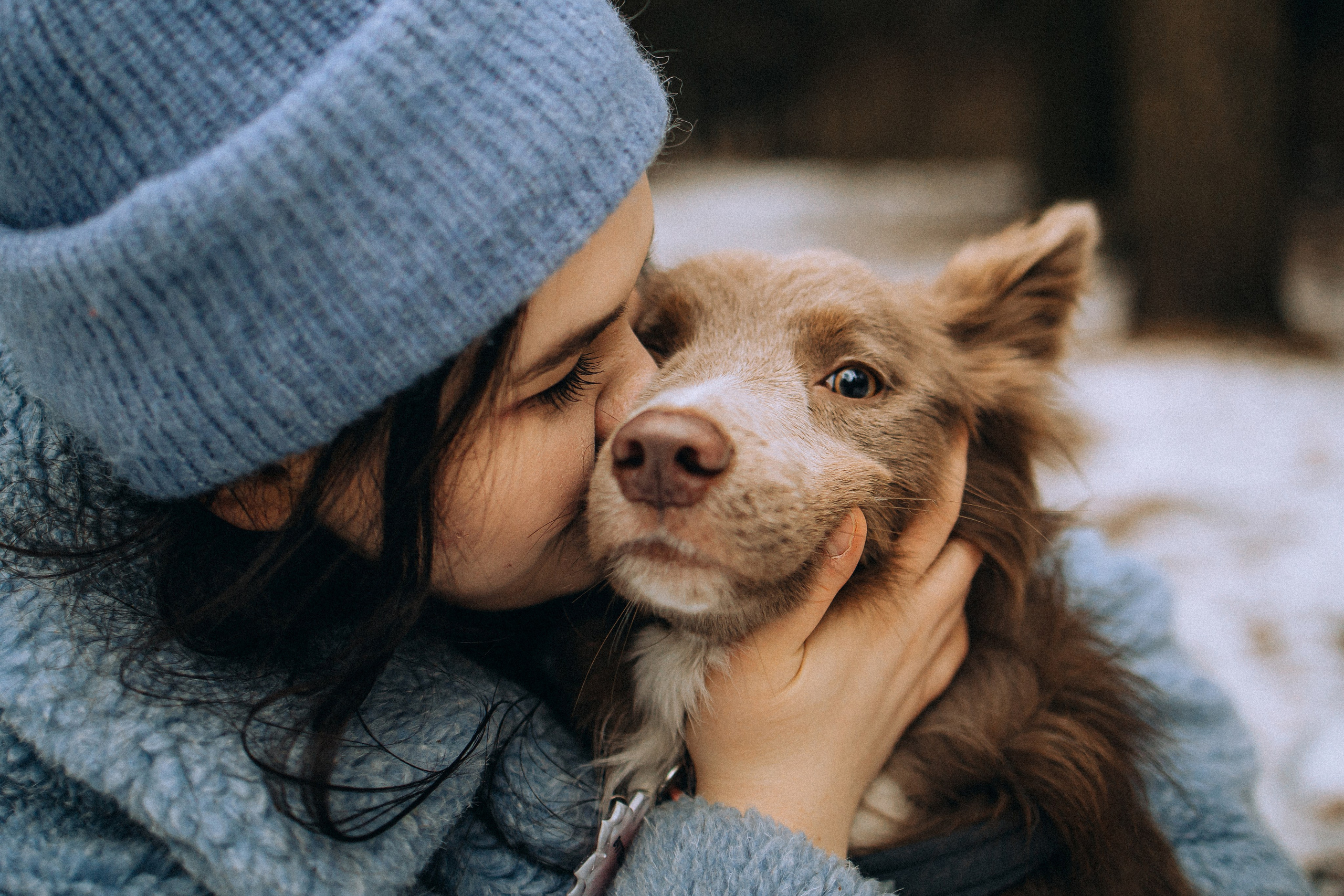 Полина, Милли и Паддингтон