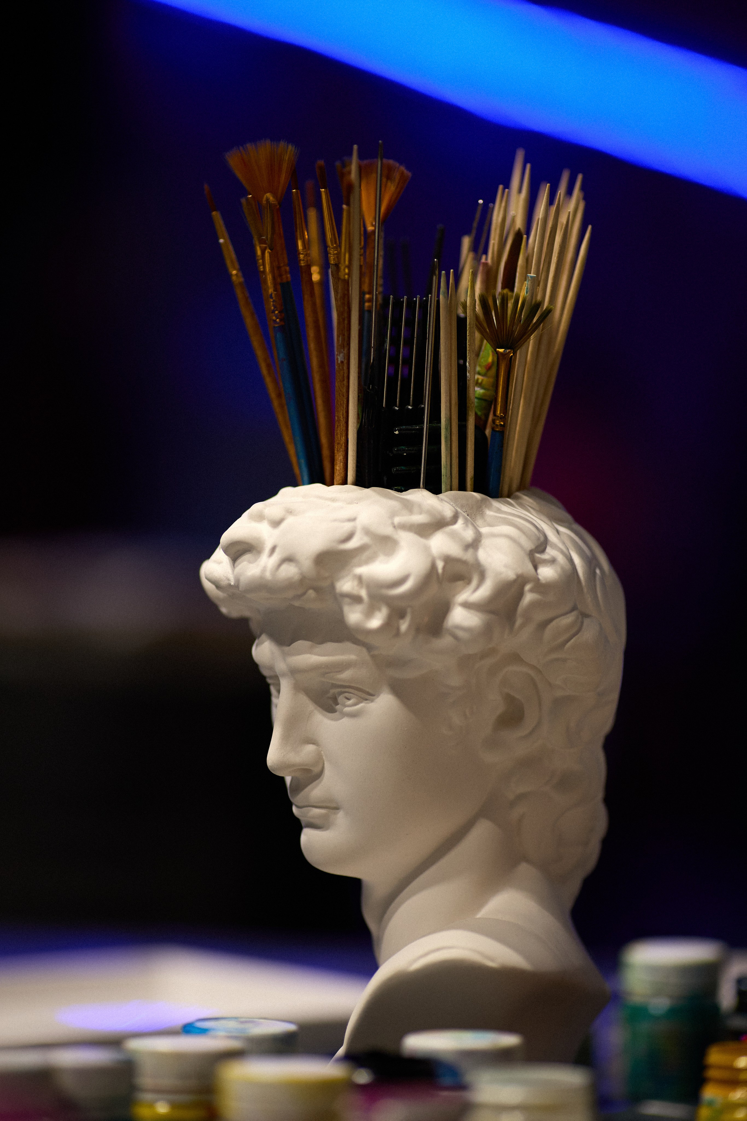 КОЧКА. Фотограф Айвазова Наталья Краснодар