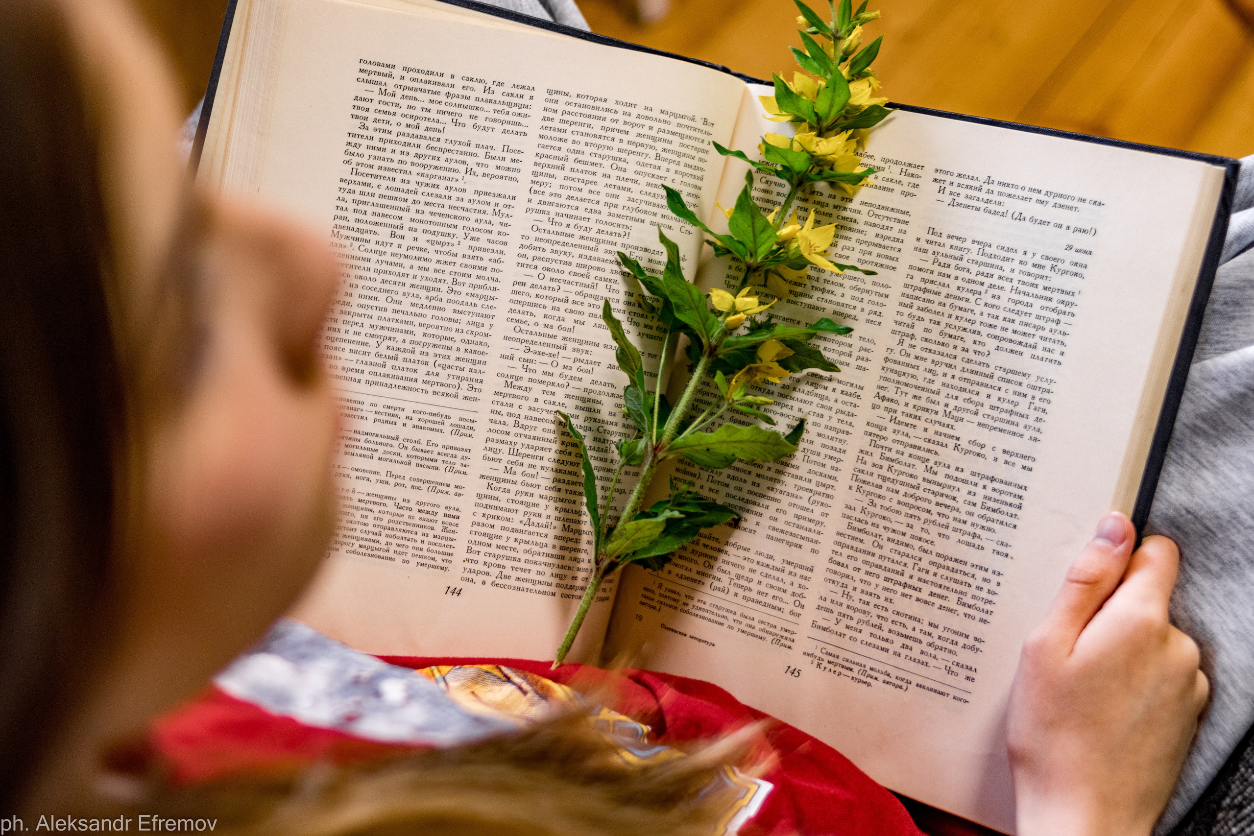 Творческие съемки. Alex Andr фотограф Москва и МО