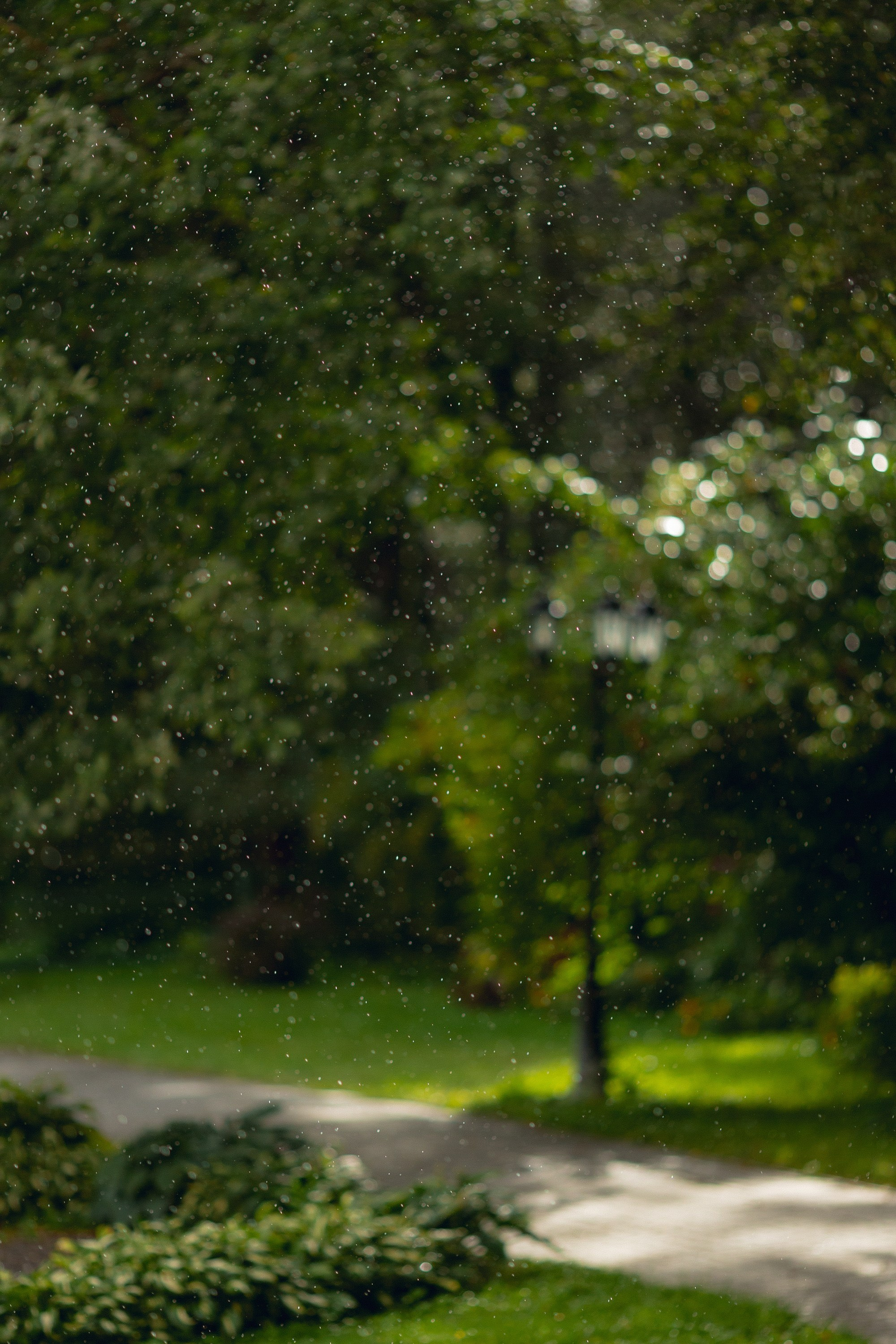 Tanya & Ilya WEDDING. Антон Прокопенков Свадебный Фотограф +7(916) 013-35-12