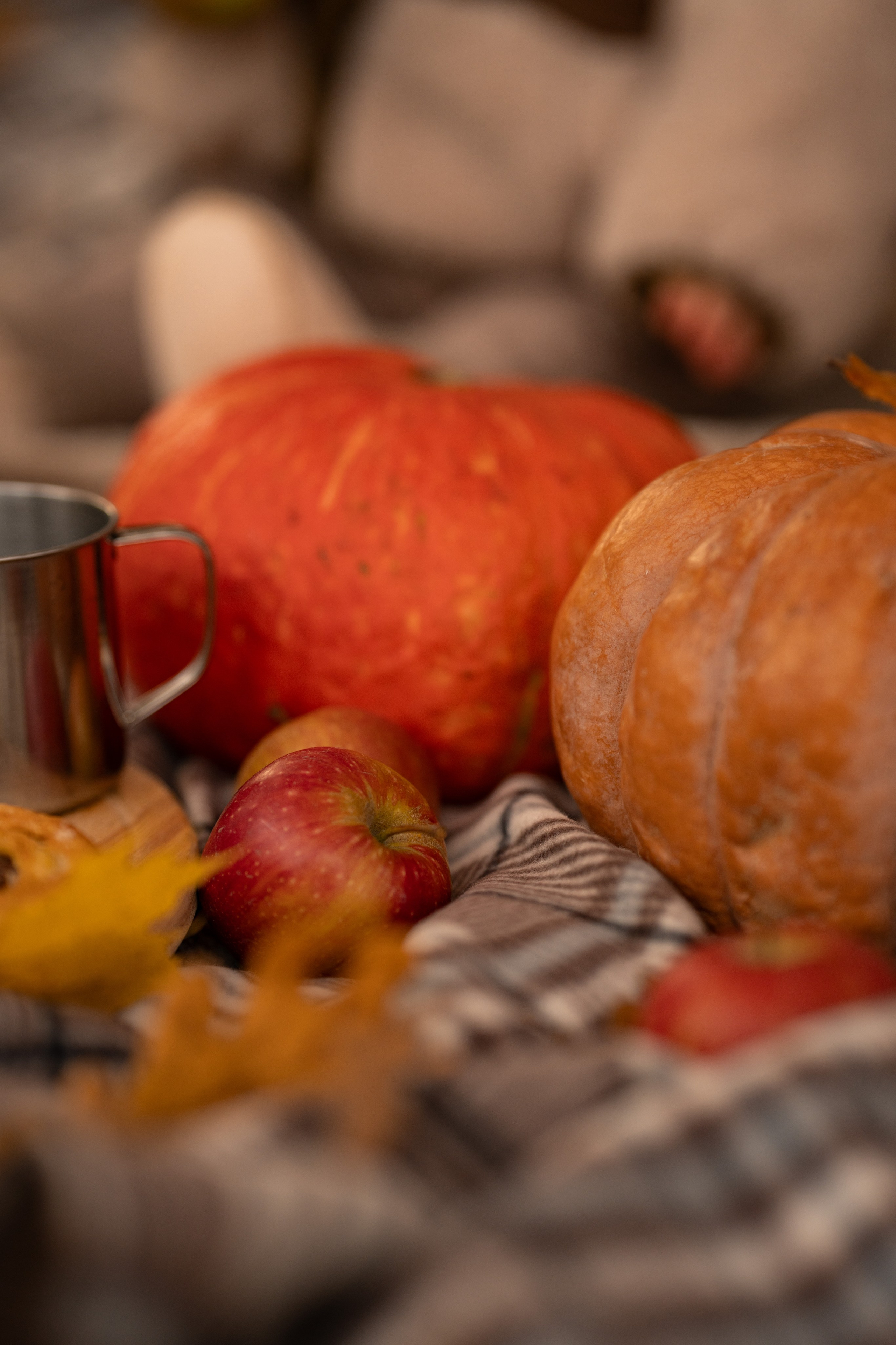 Осенняя теплая история в Зеленогорске. Семейный и портретный фотограф в Санкт-Петербурге Татьяна Гримоть
