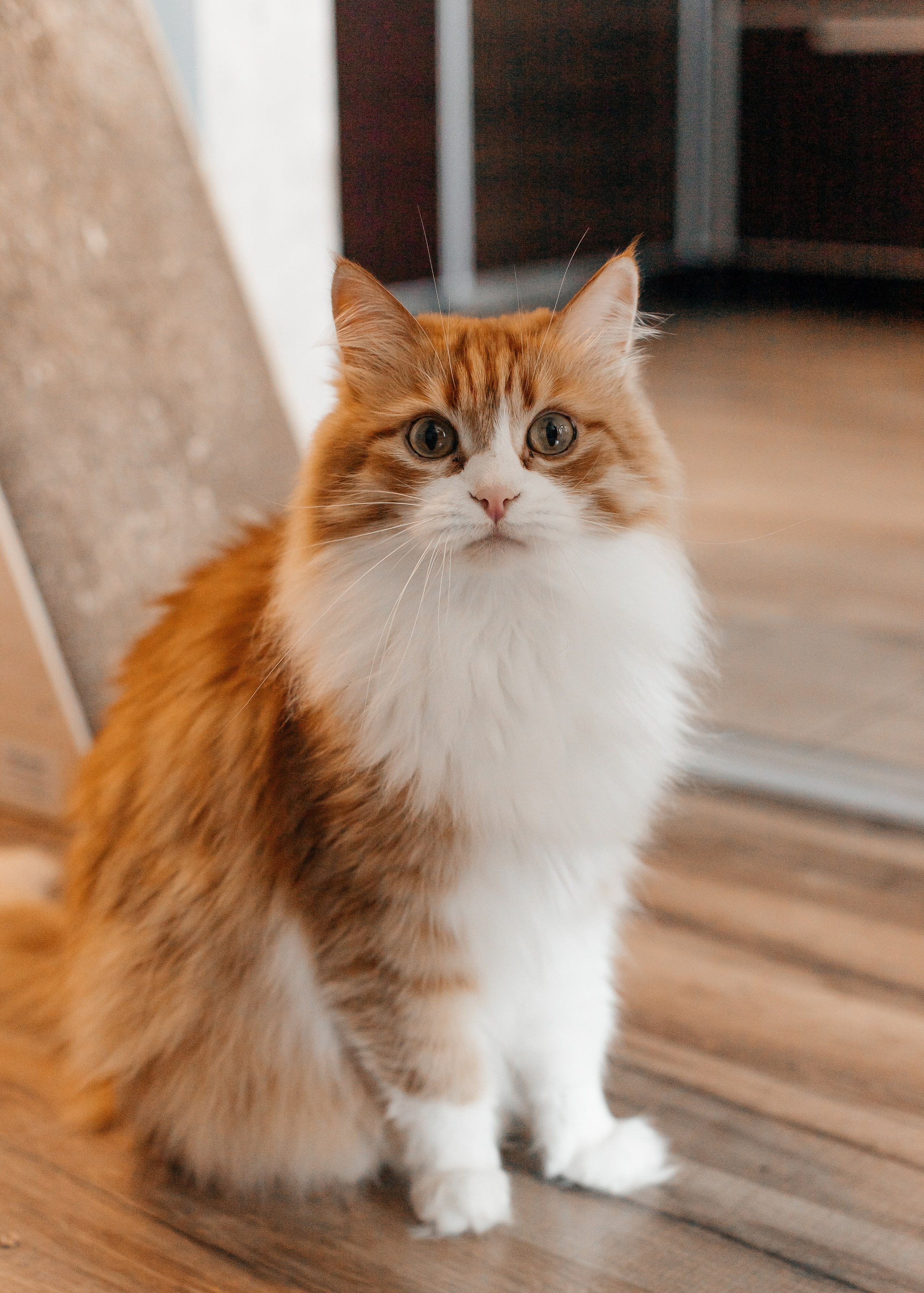 Сева, Юля и Андрей. Свадебный и семейный фотограф в Нижнем Новгороде Екатерина Наймарк