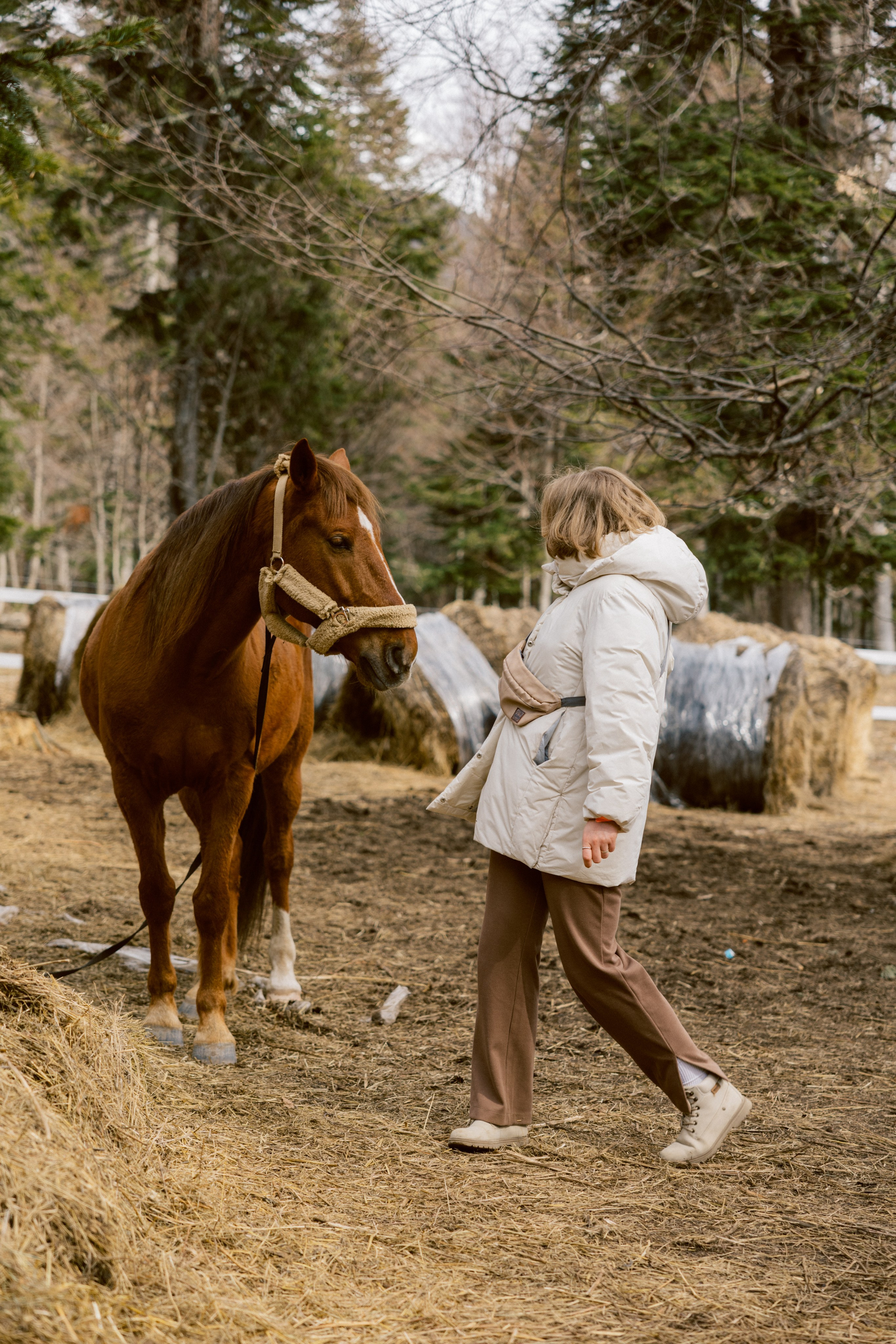 Тур, Архыз. Фотограф Эдуарда Титанян
