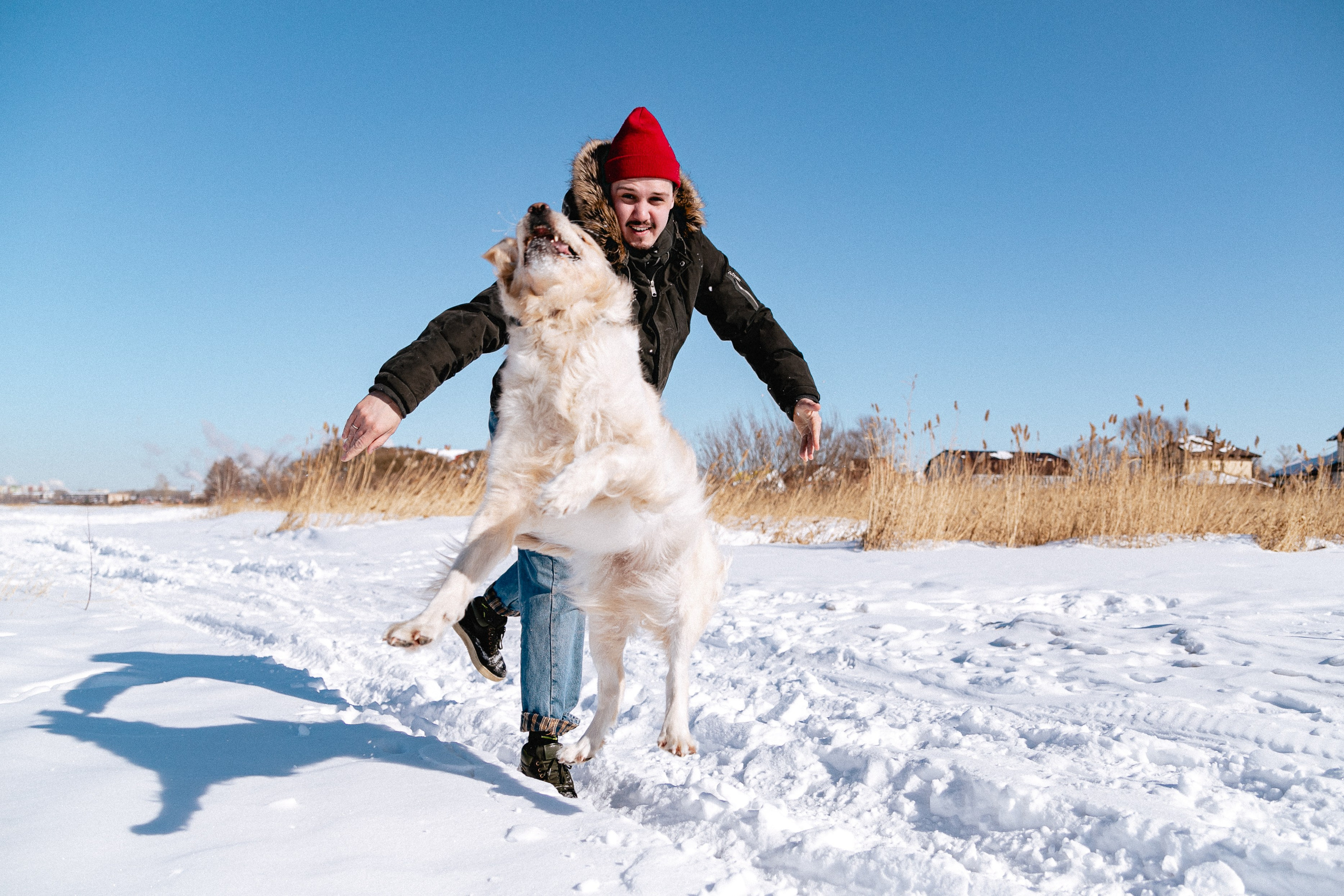 Настя и Лёша. Крылова Светлана Фотограф Челябинск