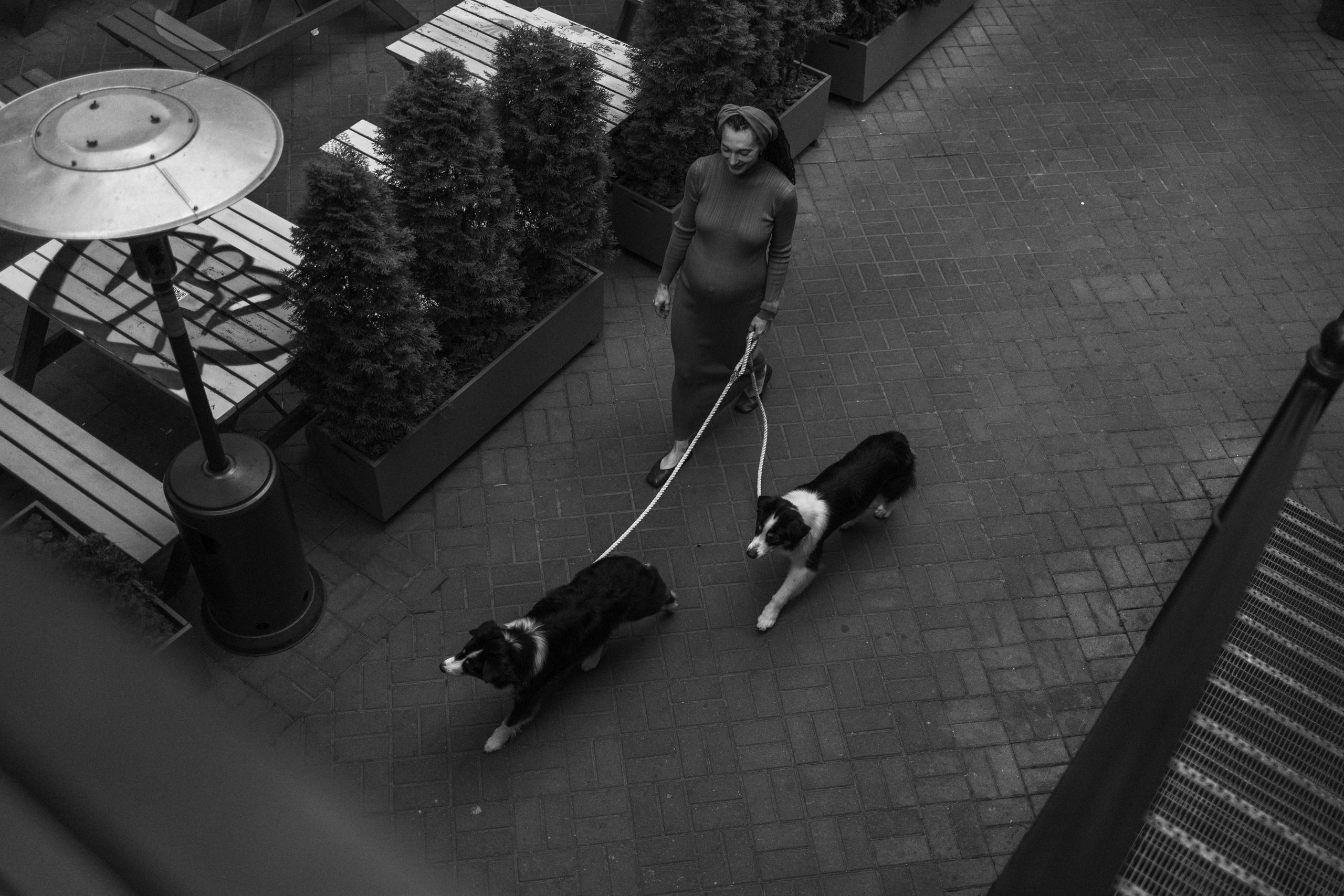 Катя и ее девочки. Фотограф — Анималист | Санкт-Петербург