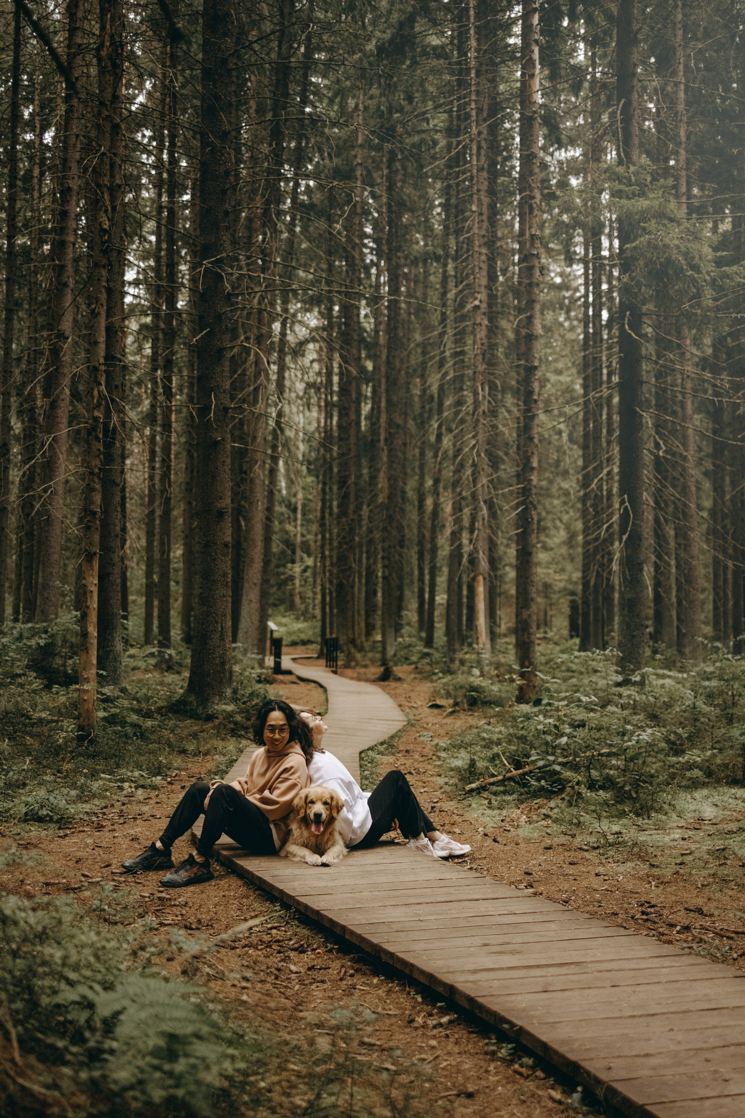 Фоси и его семьи. Фотограф — Анималист | Санкт-Петербург