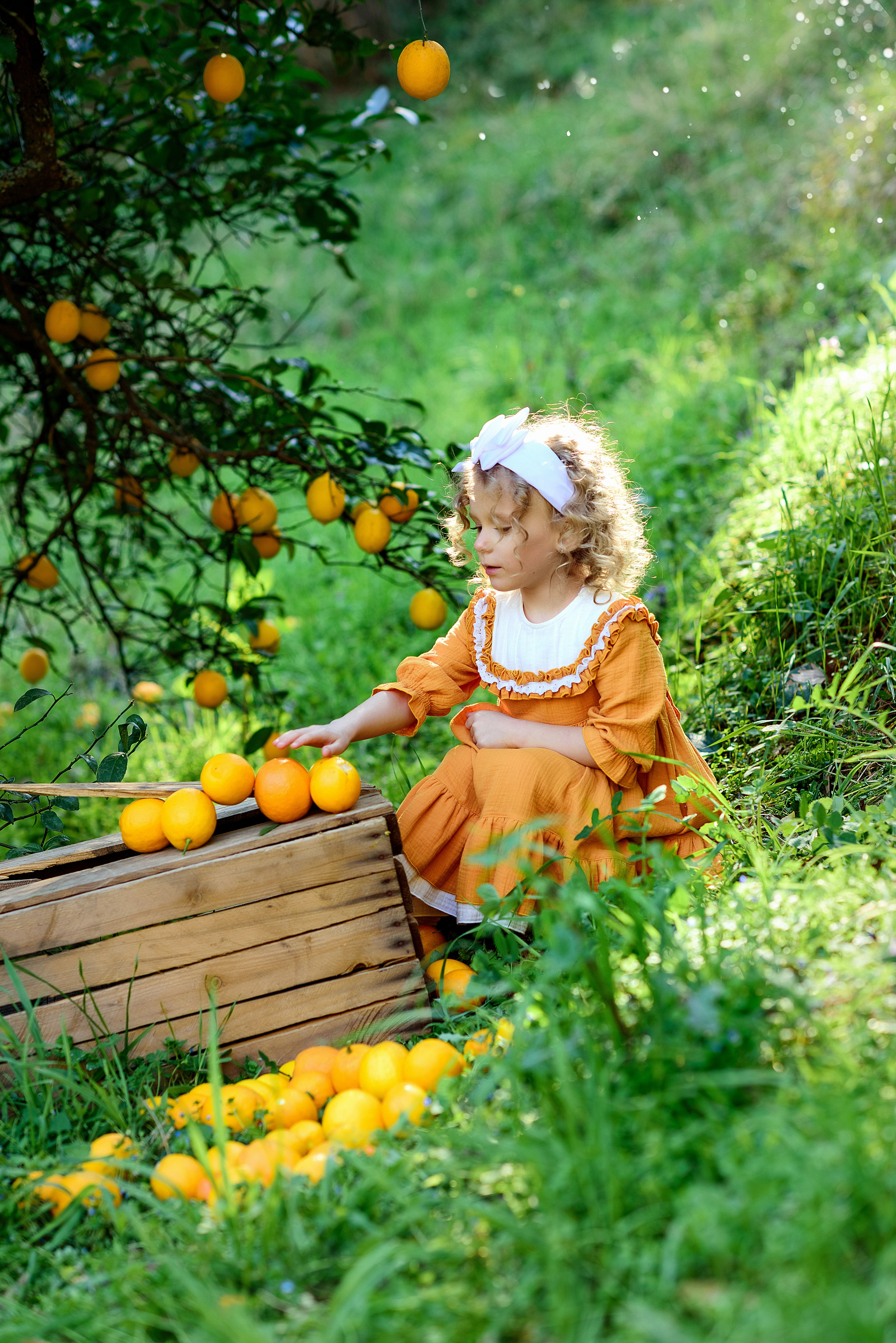 Мандариновая роща. Фотограф в Москве Lidiya_Li_Photo