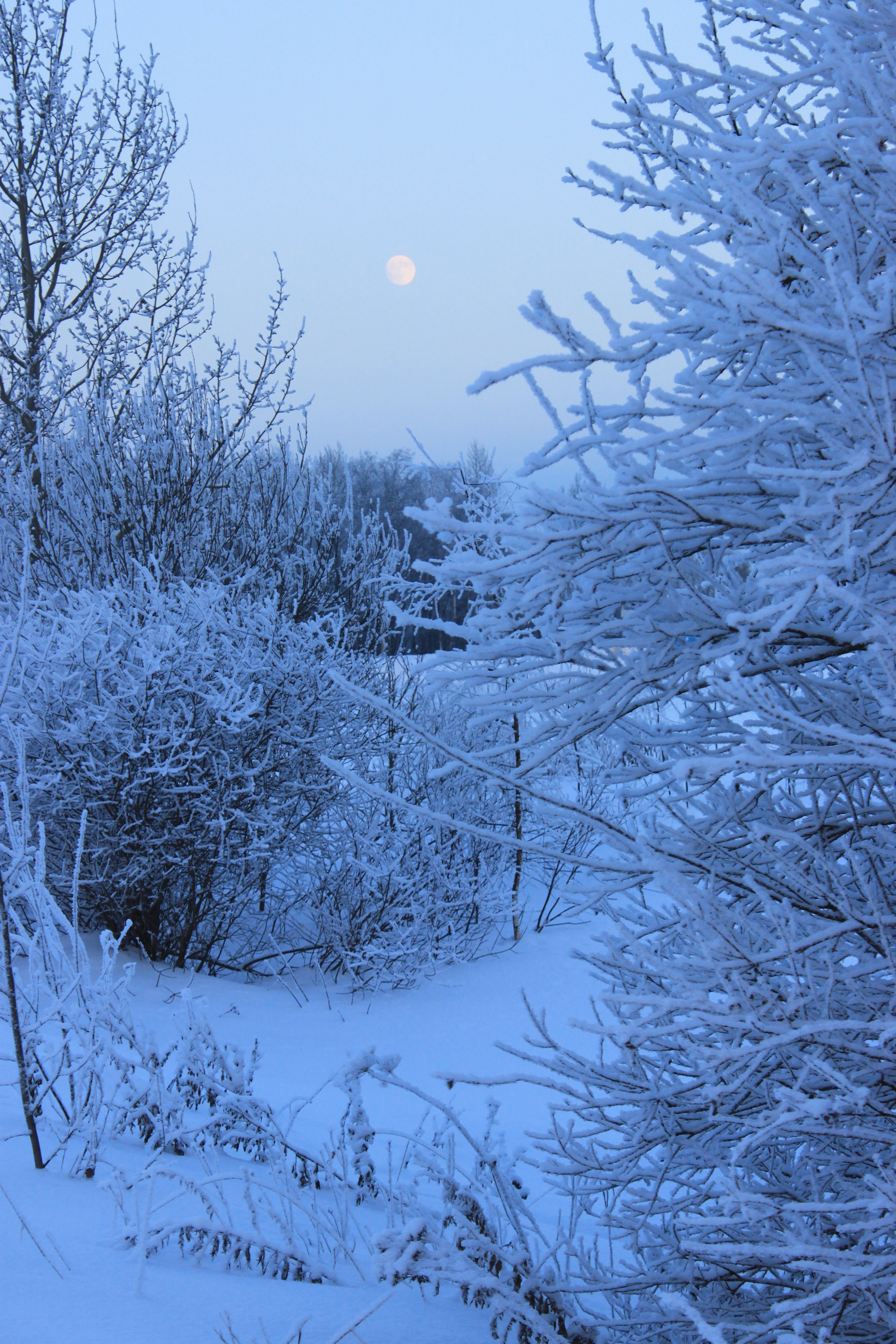 ЧУДЕСА РУССКОЙ ЗИМЫ…. СЕМЕЙНЫЙ, ПОРТРЕТНЫЙ И ДЕТСКИЙ ФОТОГРАФ в Ярославле Илья Васильев