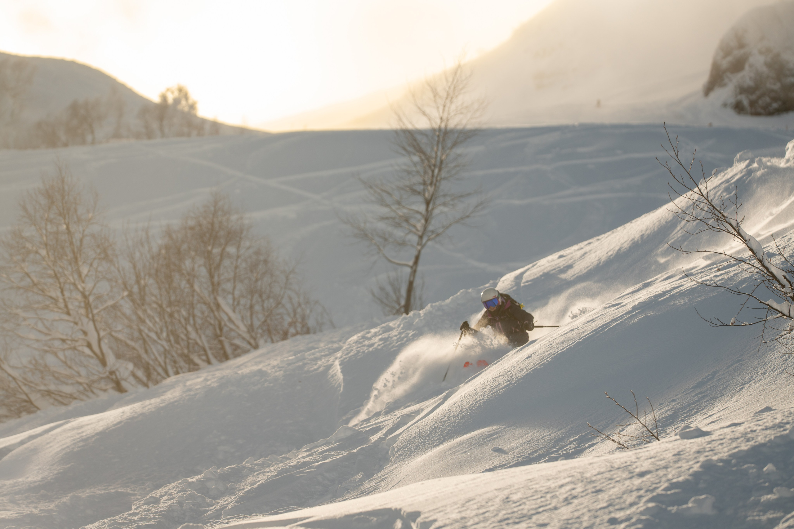 Внетрассовое катание в рамках фрирайд кэмпа с Еленой Ануфриковой. Репортажный фотограф в Красной Поляне и Сочи Павлюченко Екатерина