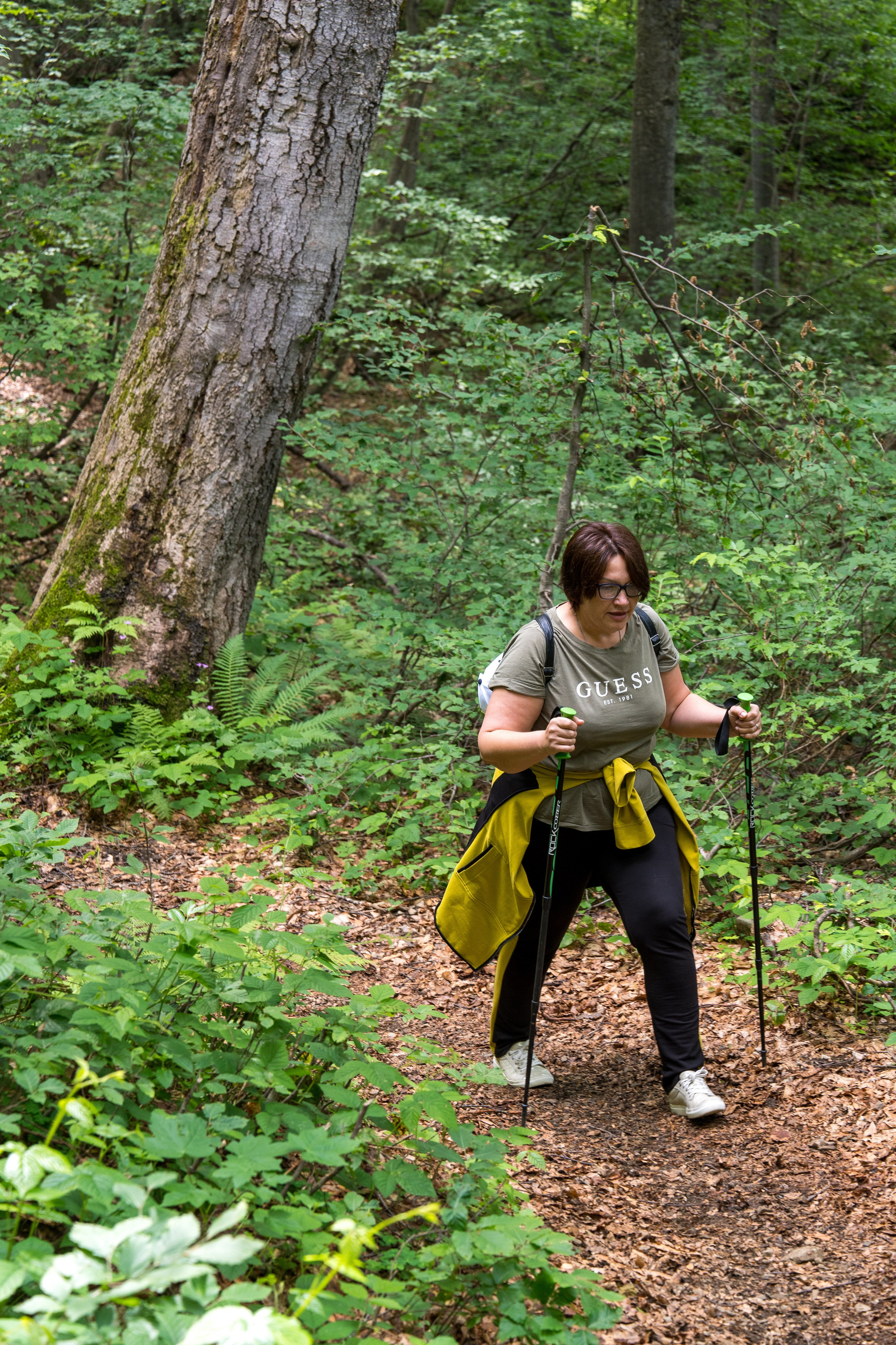 MICE мероприятие для компании «Доставка морем»: хайкинг к Ачипсинским водопадам. Репортажный фотограф в Красной Поляне и Сочи Павлюченко Екатерина