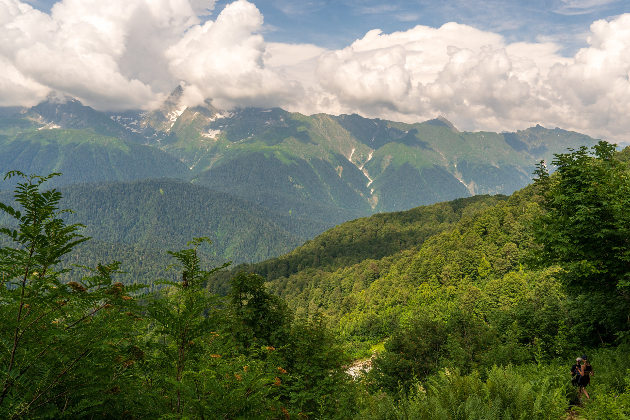 MICE мероприятие для компании «Доставка морем»: хайкинг к Ачипсинским водопадам. Репортажный фотограф в Красной Поляне и Сочи Павлюченко Екатерина