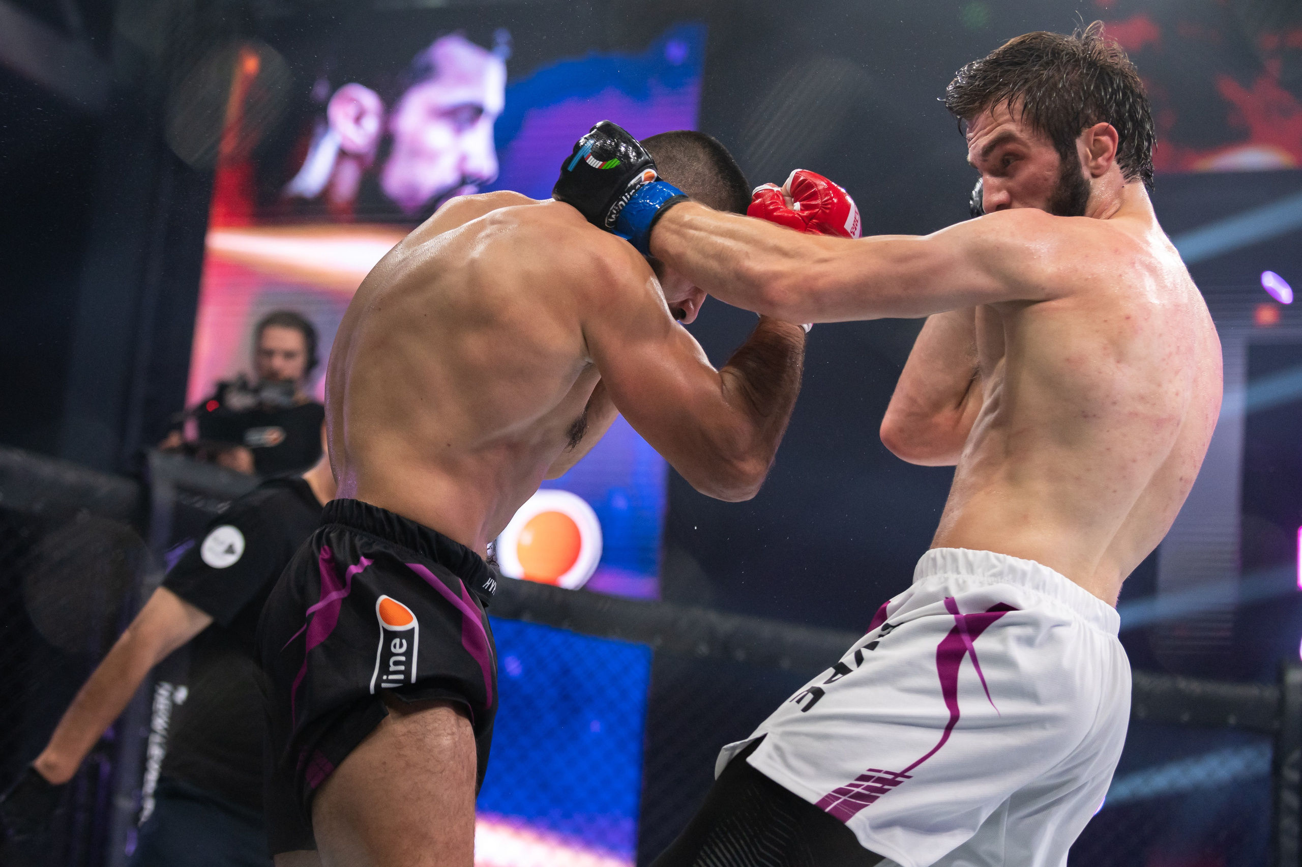 Бои. Репортажный фотограф в Красной Поляне и Сочи Павлюченко Екатерина