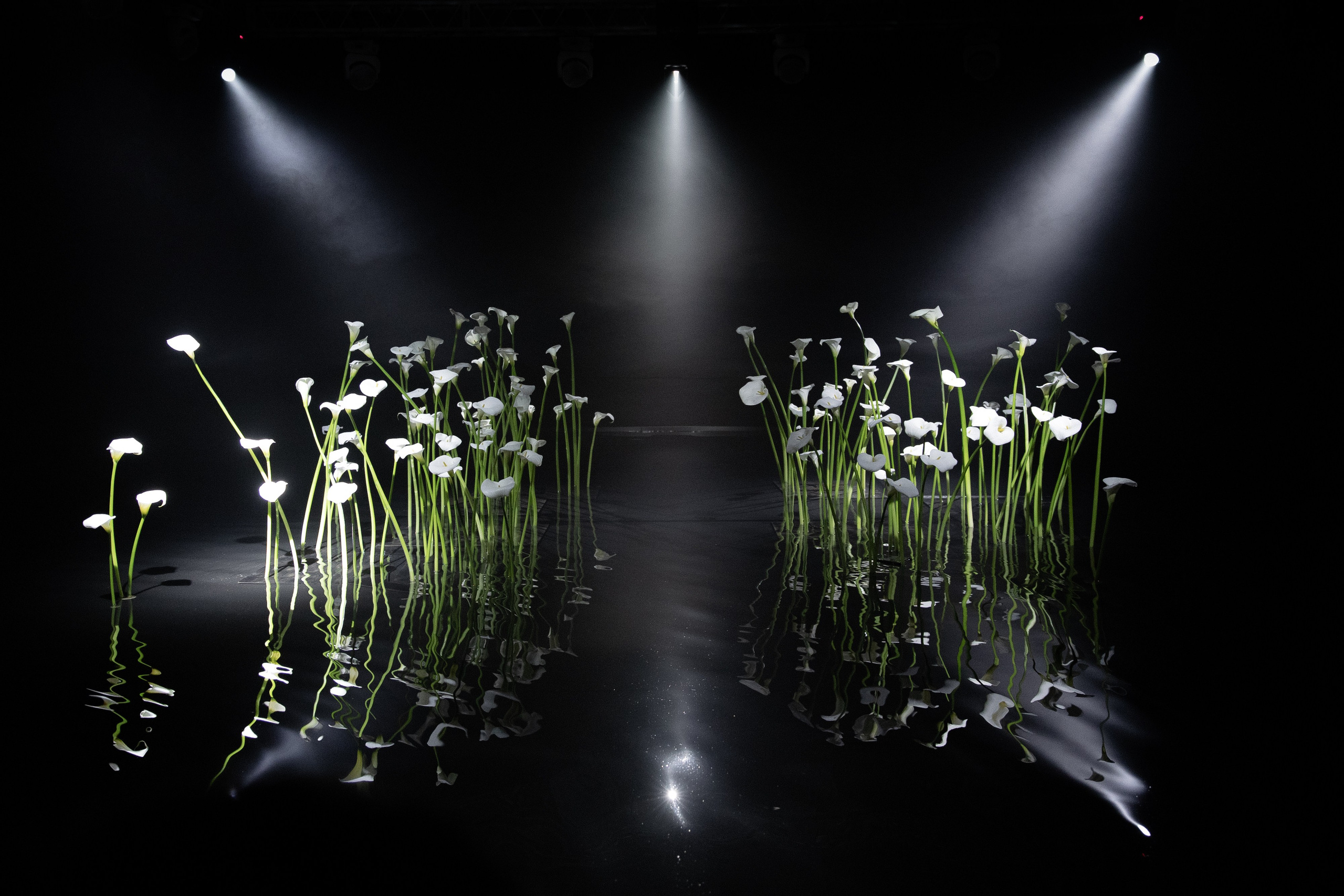 М&А. Свадебный фотограф