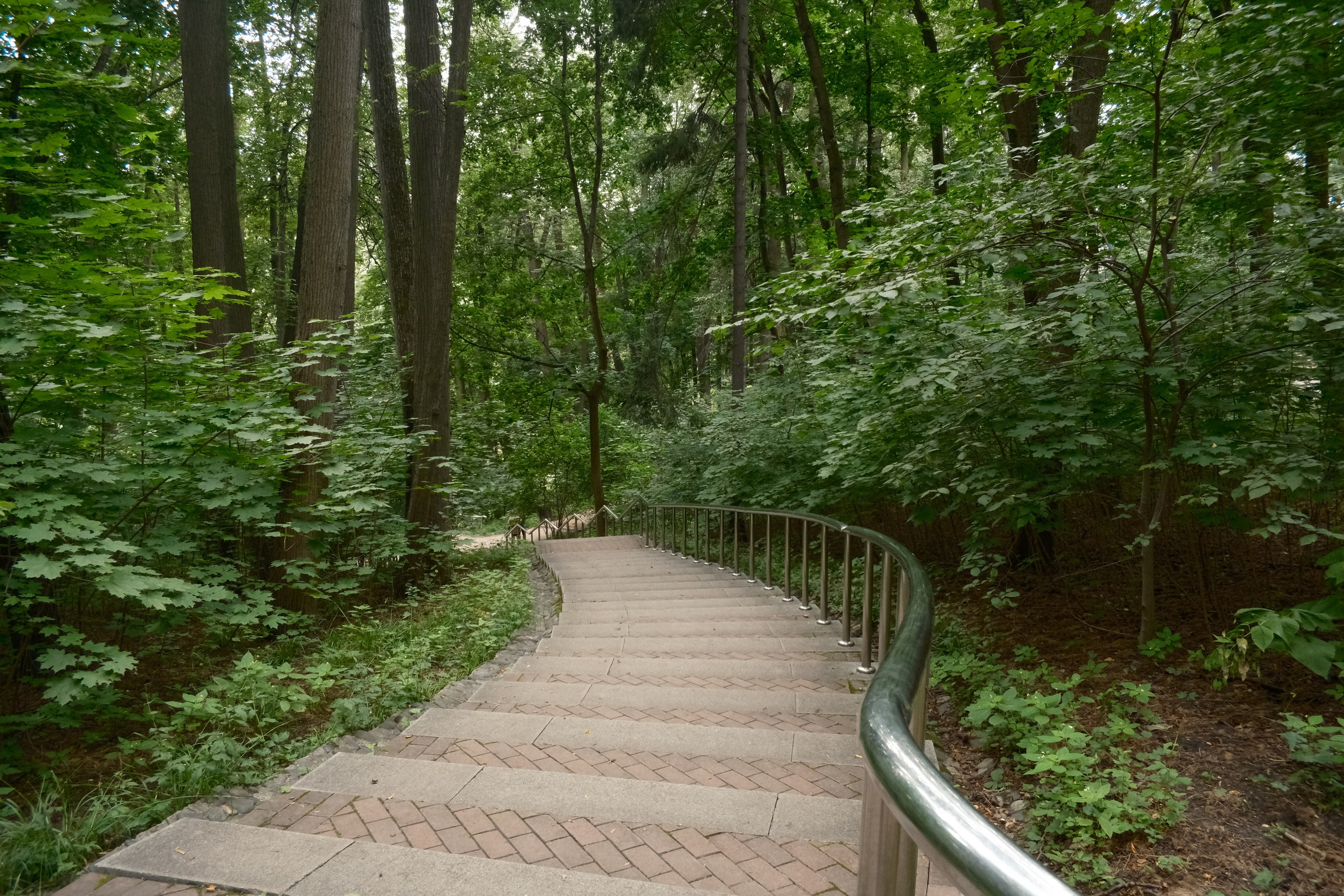 Царицыно 10.08.2025. Улица, люди, жизнь…