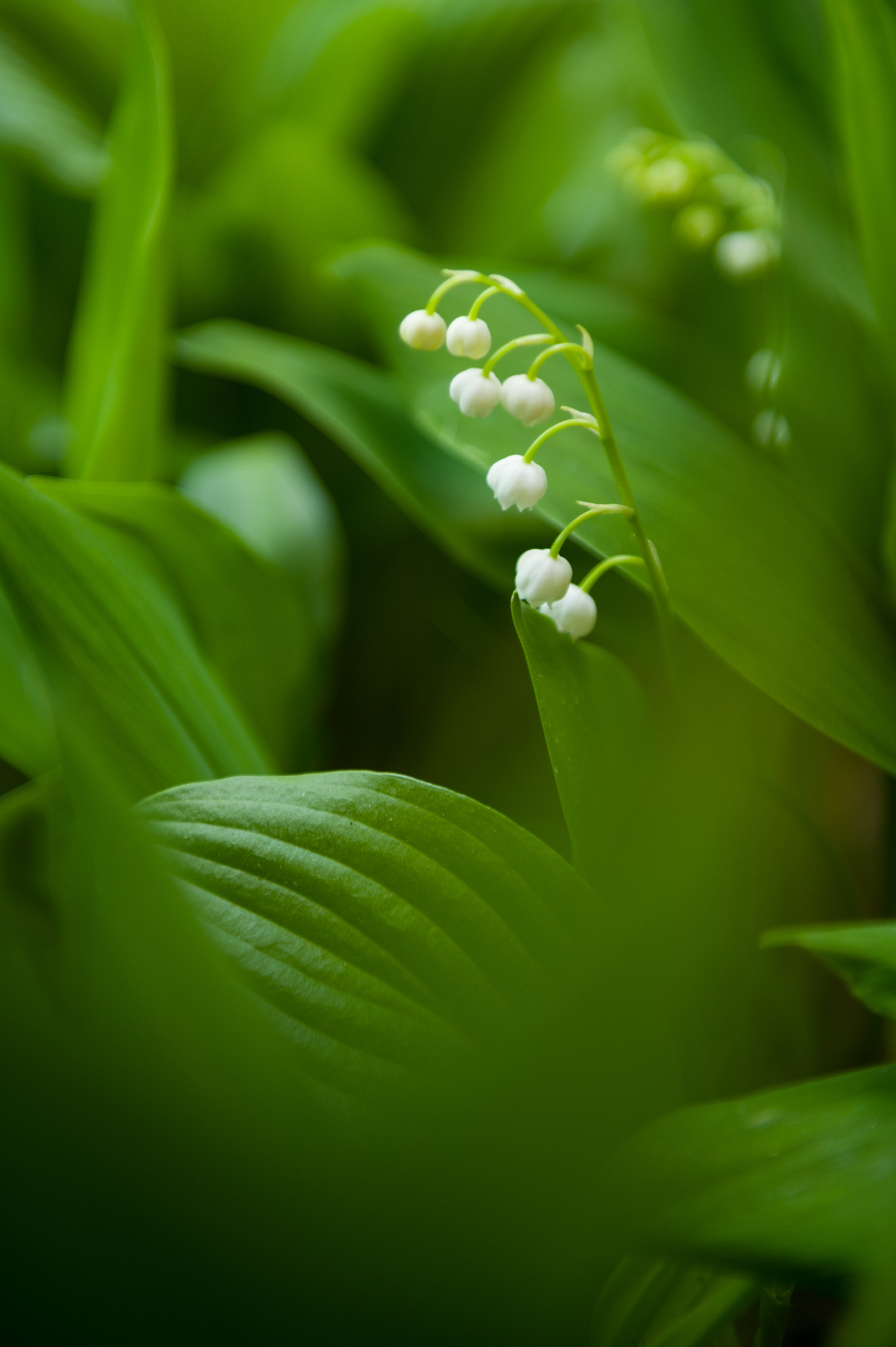 Фитнес кэмп. Фотограф Зырянова Яна, Снежинск, Екатеринбург, Челябинск