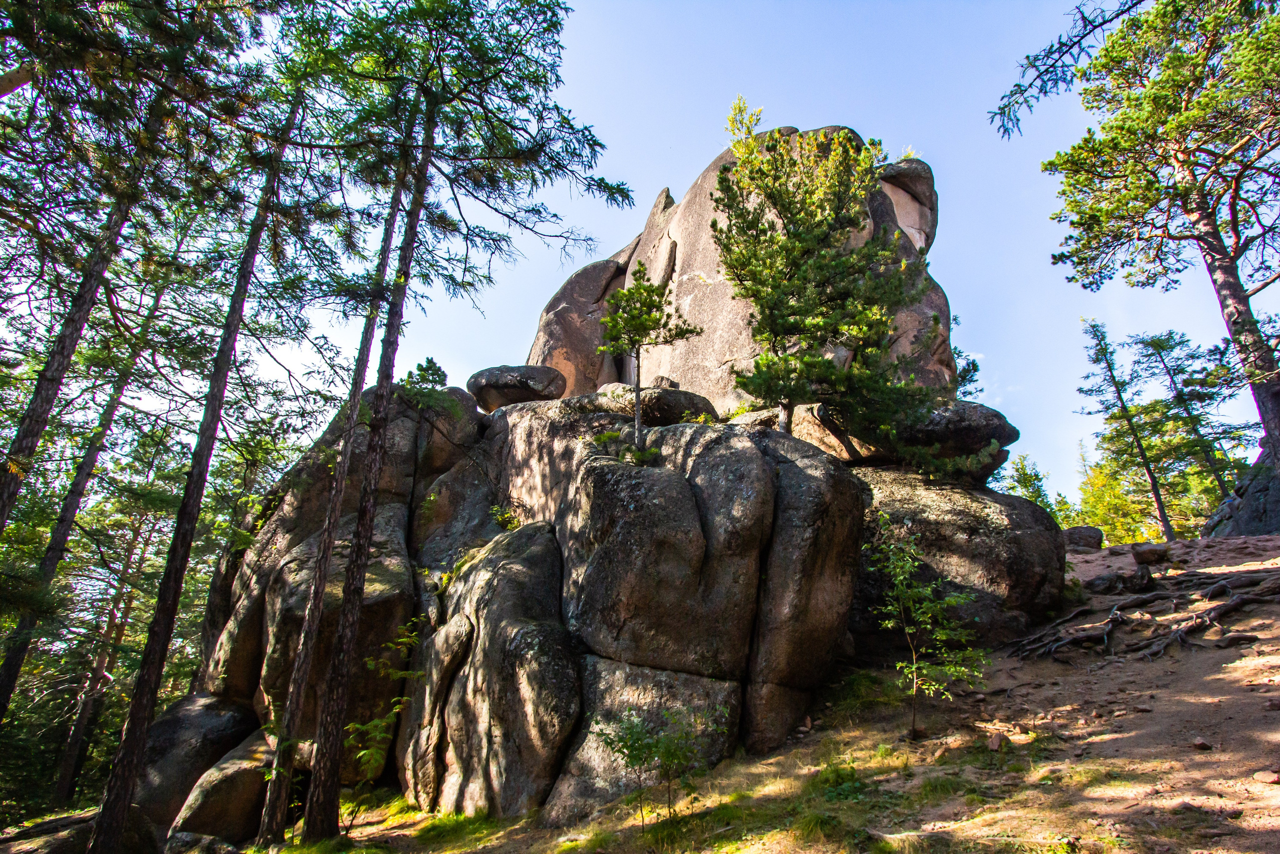 Красноярские столбы. Travel-фотограф Ирина Милинцова