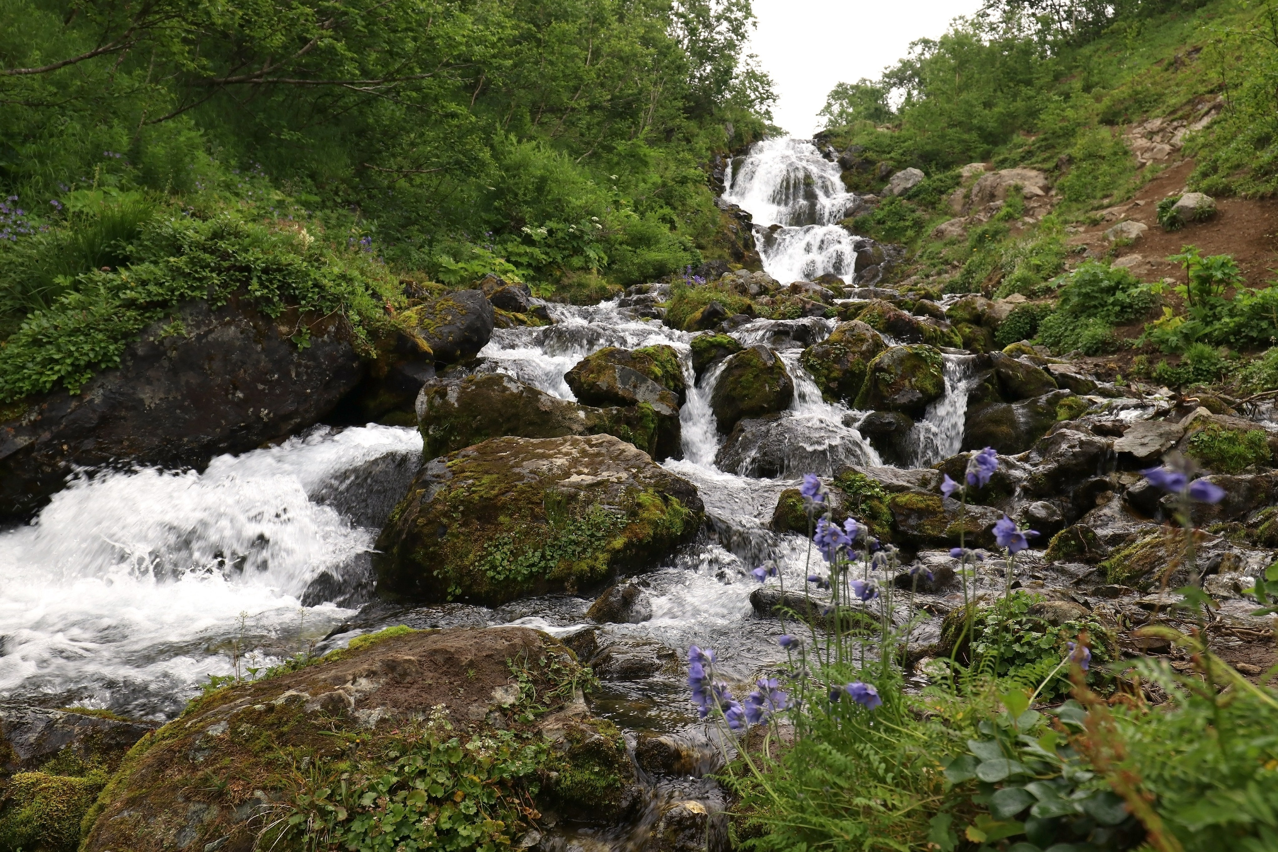 Камчатка и о. Парамушир. Июль 2024. Путешественник-фотограф из Санкт-Петербурга Татьяна Свистулина