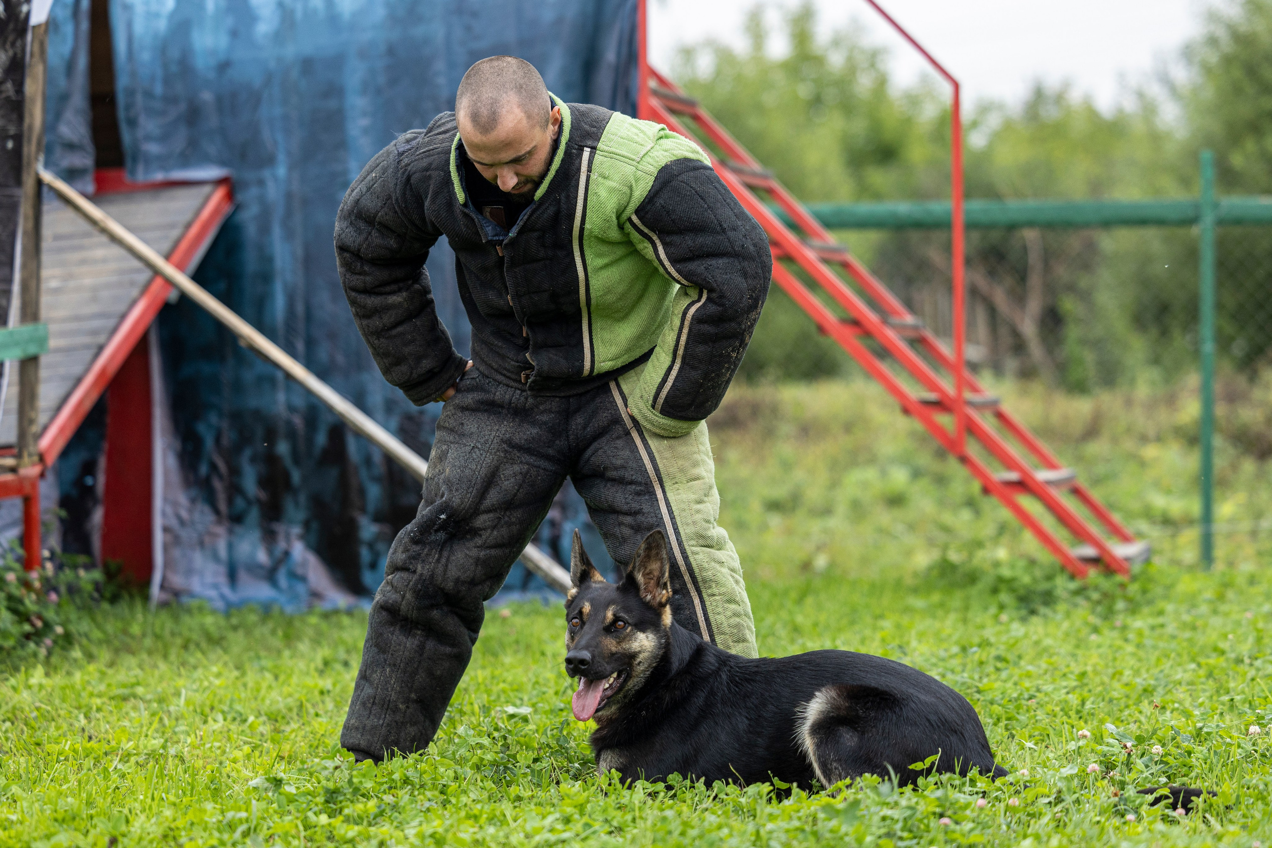 Соревнования по Мондьорингу г. Вологда 10-11.08.2024. Фотограф-анималист Анна Маринич
