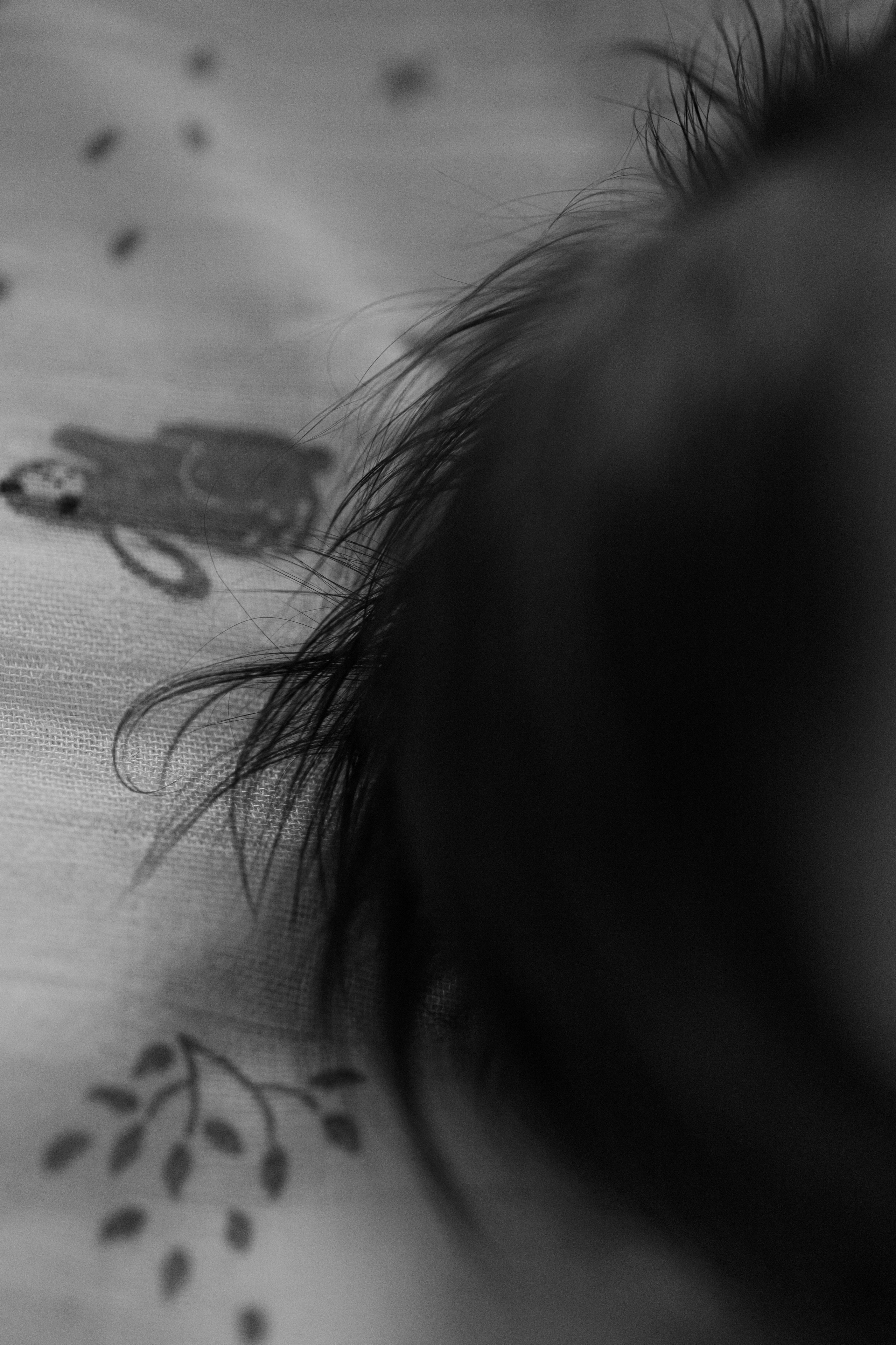 Артур, Лика, Давид. Фотограф беременности и материнства в Москве Мария Менендес-Гонсалес