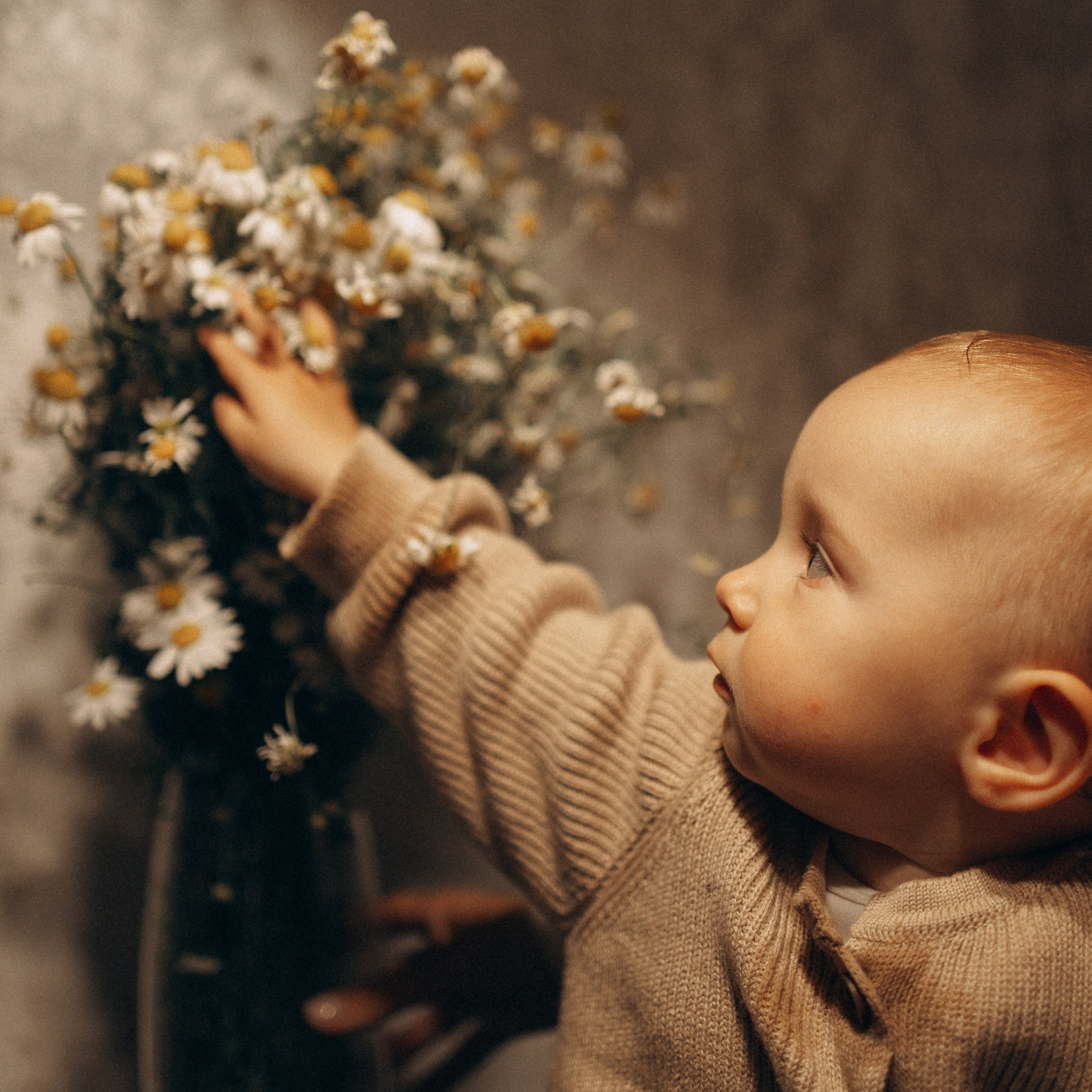 Семейная. Фотораф — анималист Мария Шистка