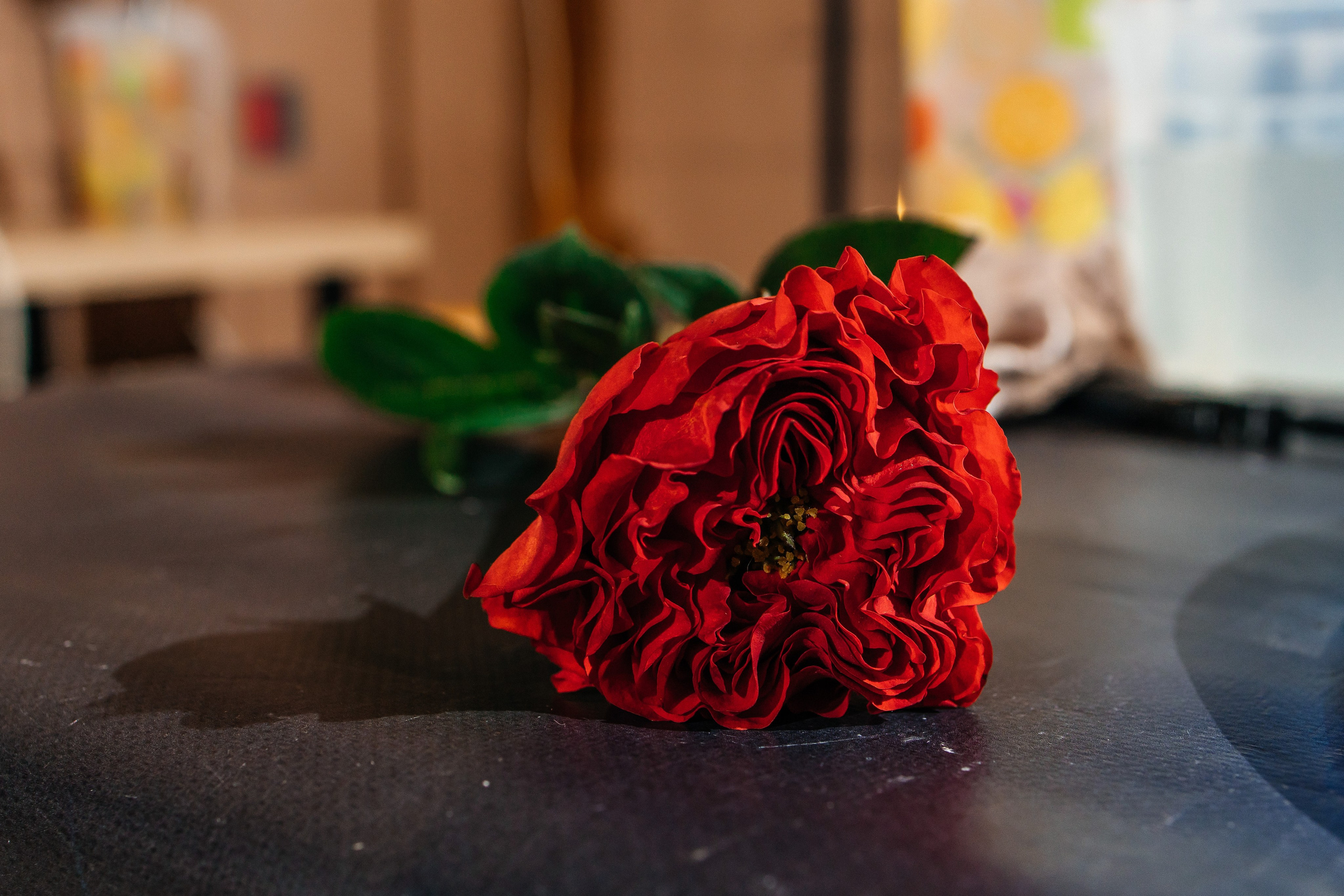 Ксюше 10. Фотограф в Санкт-Петербурге Виктория Безверхая