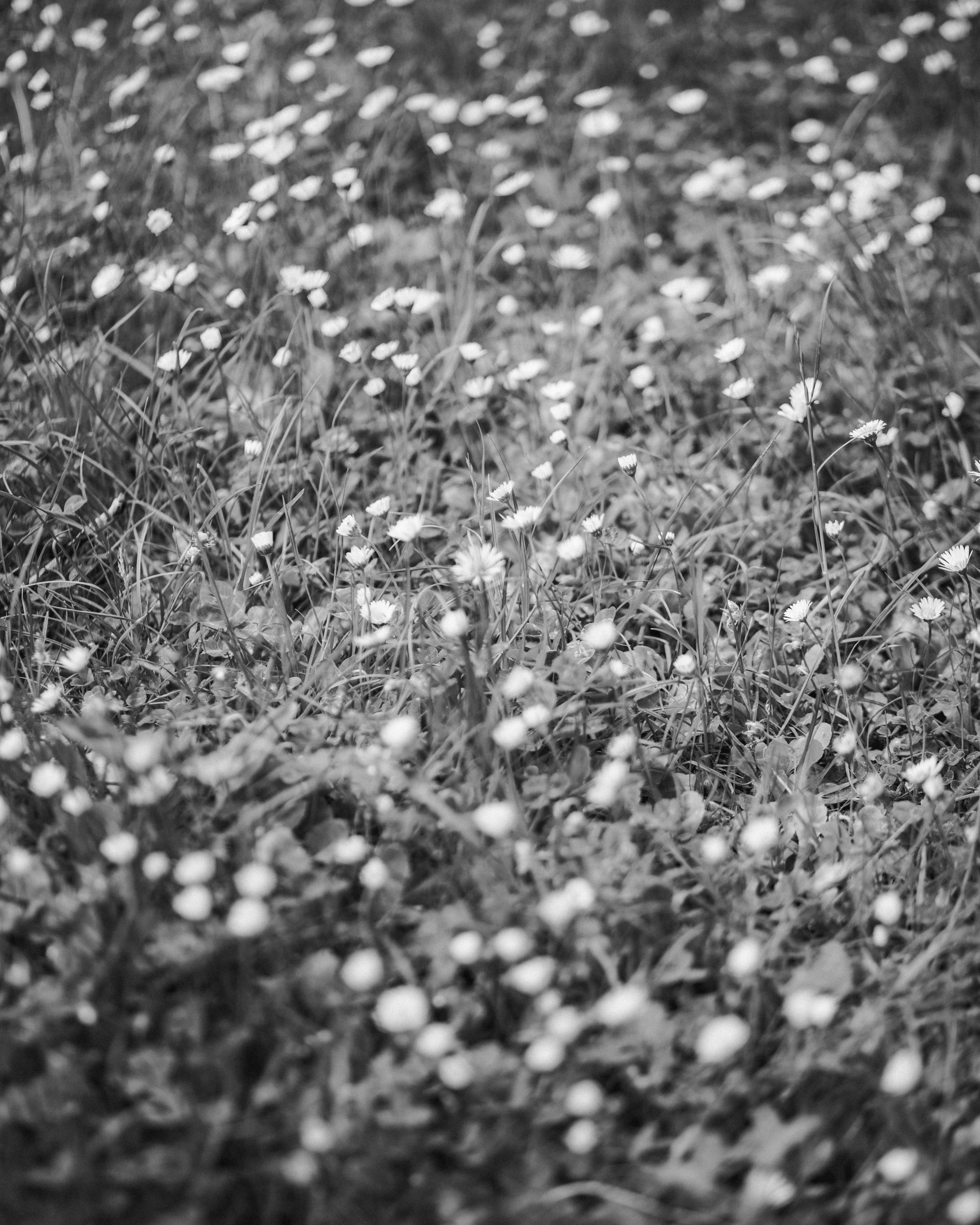 Обряд. Портретный и атмосферный фотограф Екатерина Шаврина