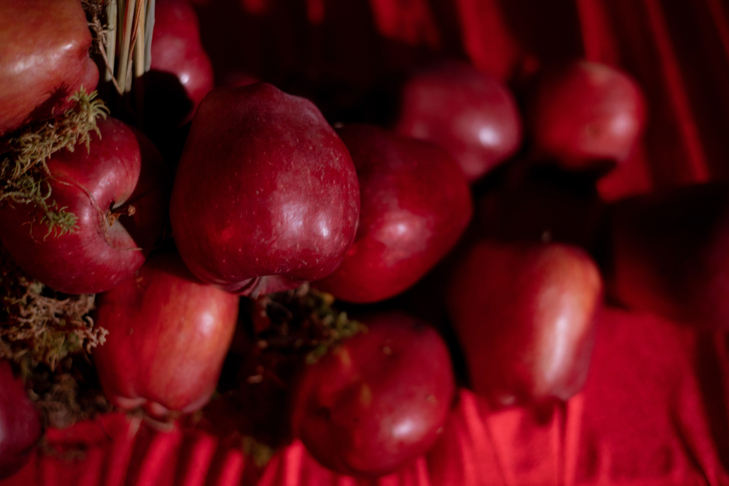 Новогодний корпоратив в фольклорном стиле. Особняк Лемана. Оформление свадеб, декор свадеб Вера Маркова, Москва