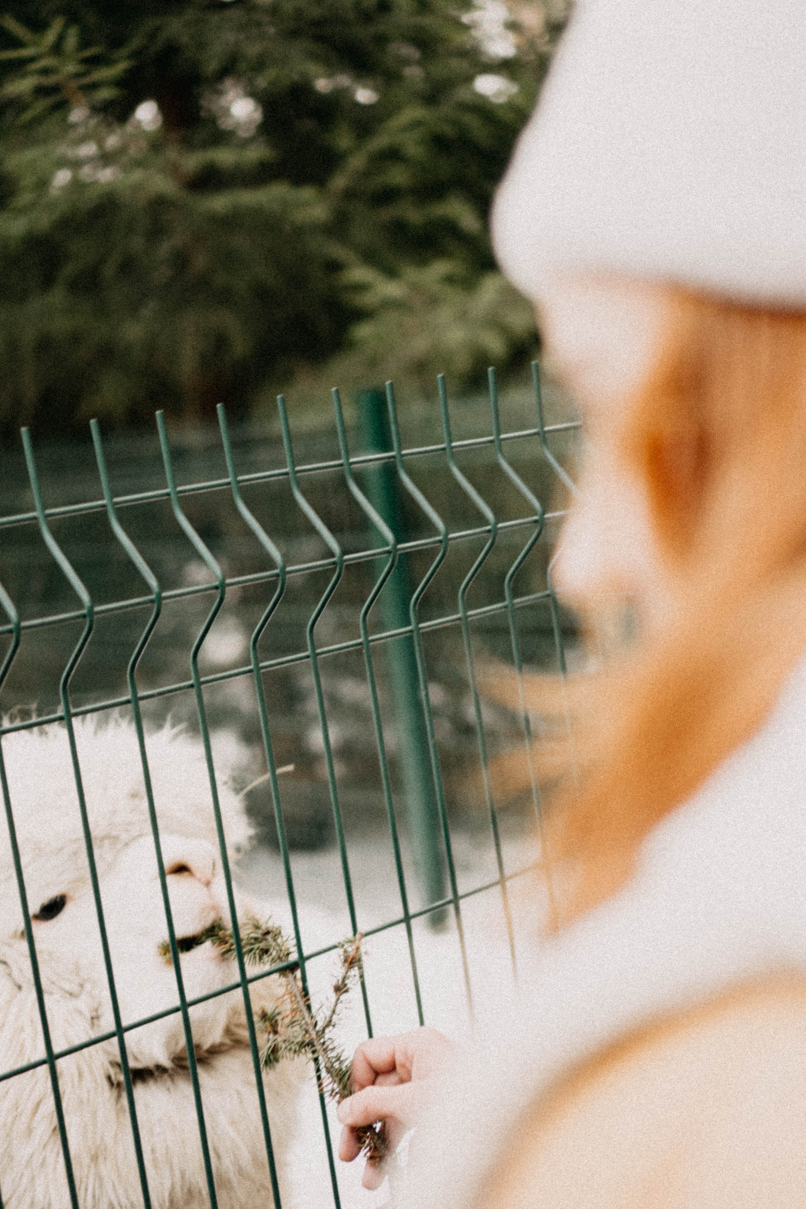 Каток. Профессиональный фотограф, Санкт-Петербург — Виктория Богомолова