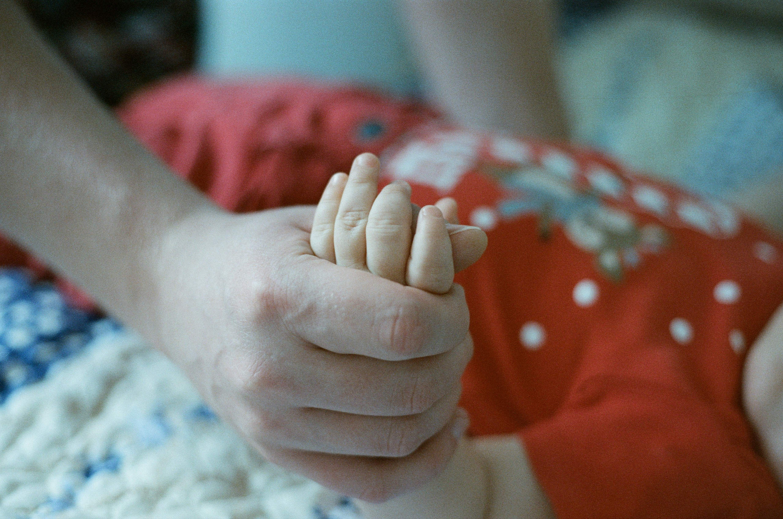 Даня, Алёна, Лёва и таксы. Настя Оленченко, портретный/семейный фотограф на цифру и плёнку Москва