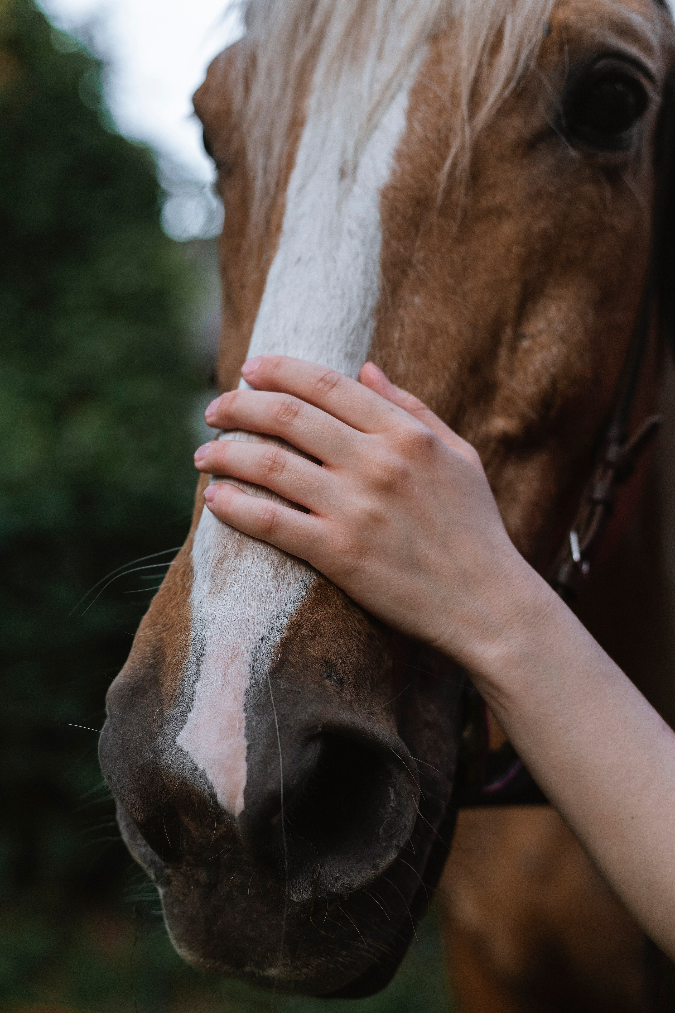 Алена. Женский и предметный фотограф