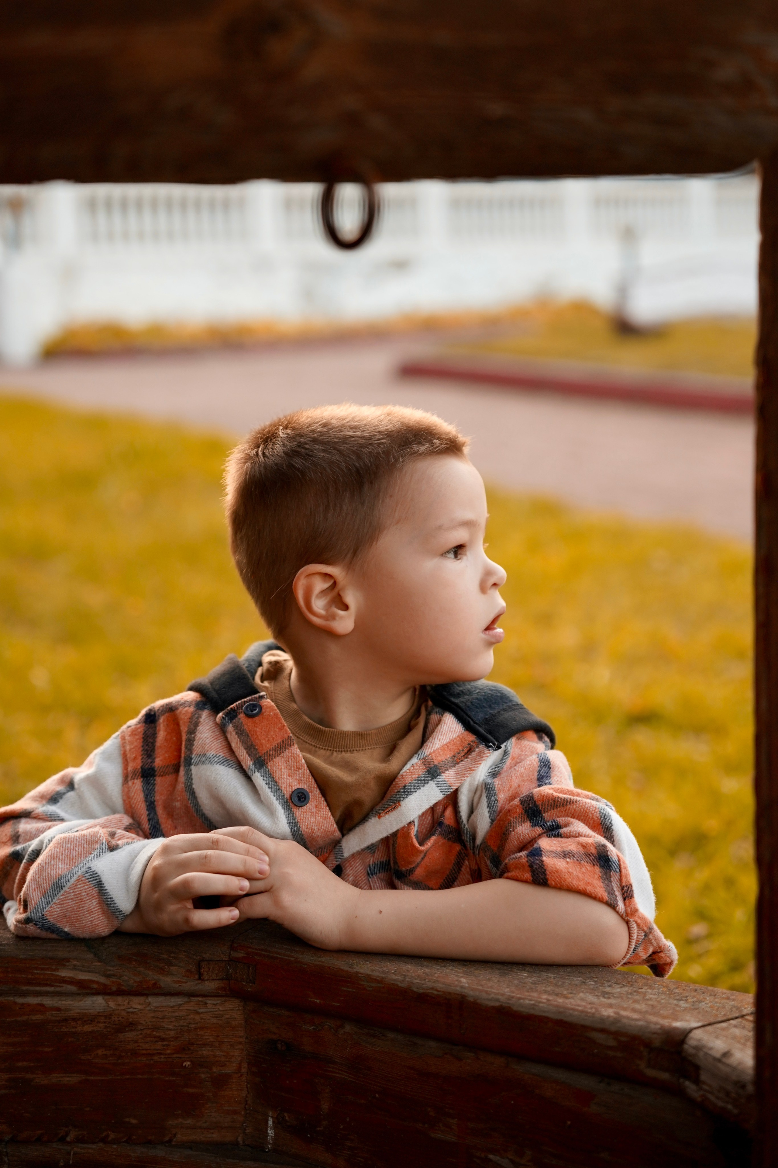Золото осени. Семейный и детский фотограф Александра Гвоздикова