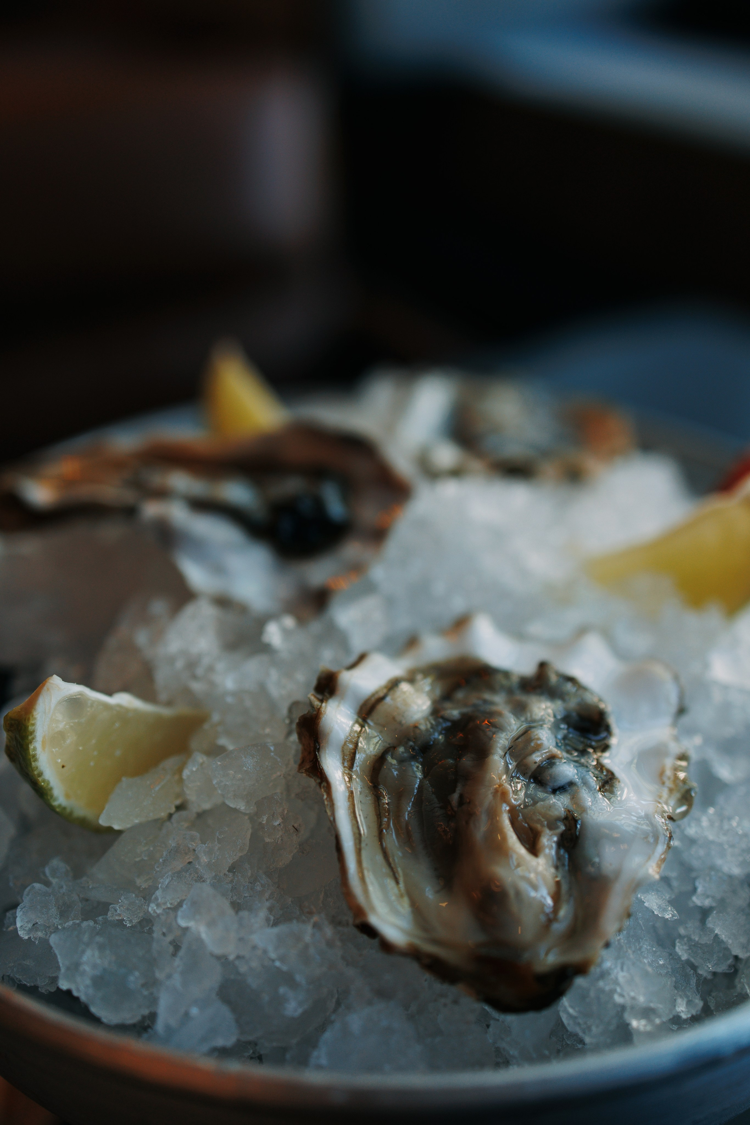 Place. Photographer in Turkey — Dari N