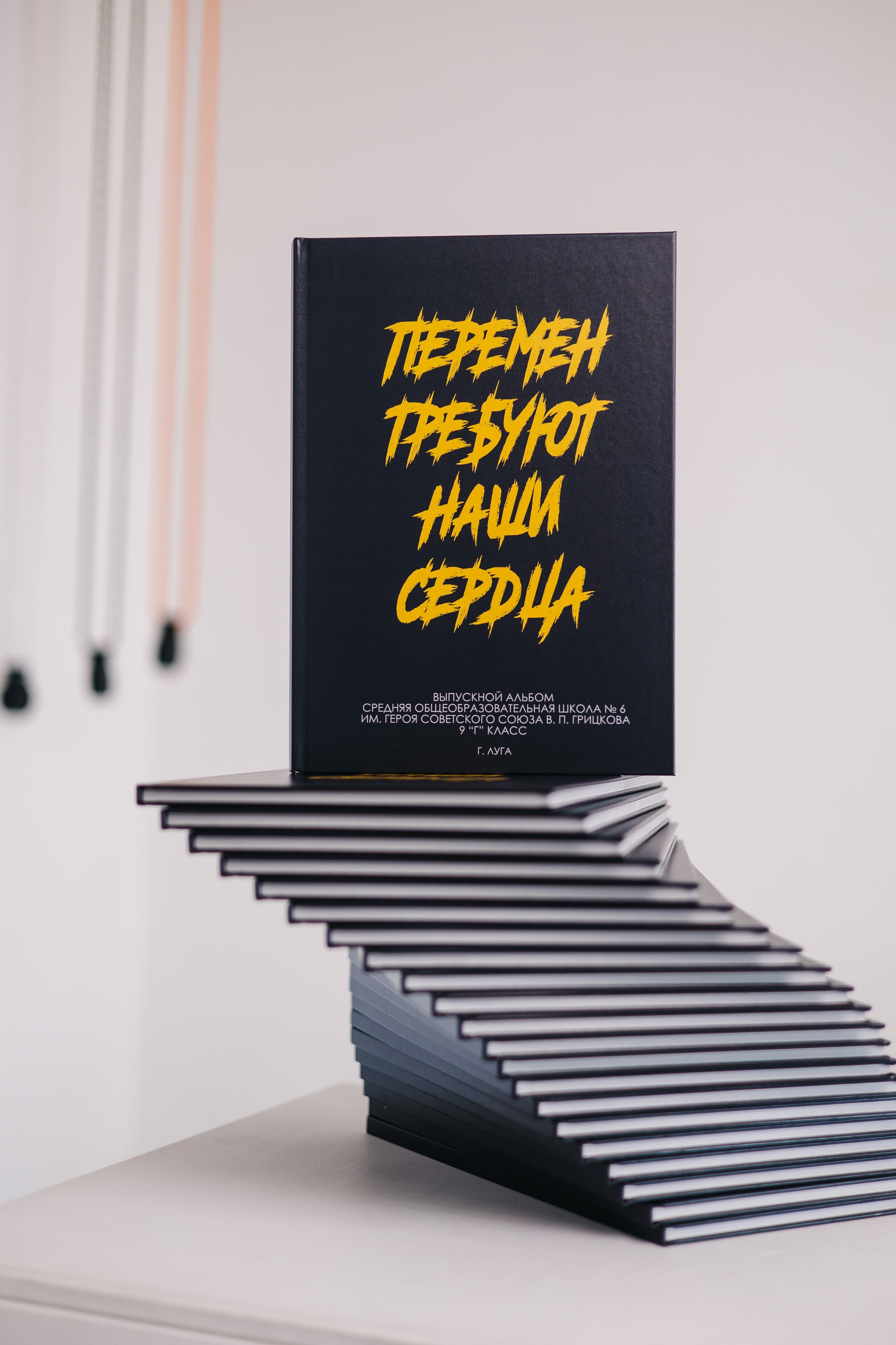 Выпускные альбомы в Луге/Школьные съёмки