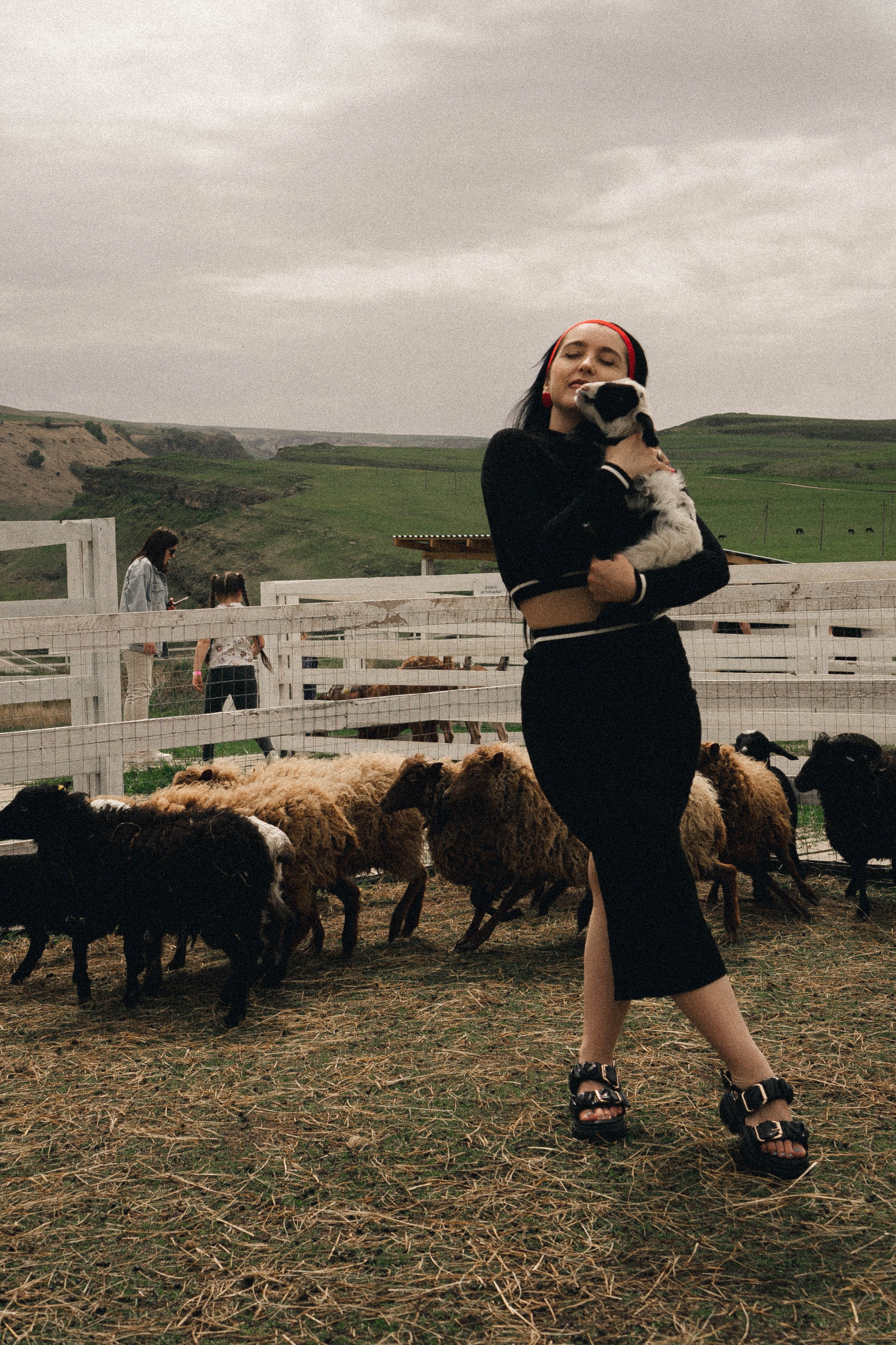 Ферма Альпак. Профессиональный фотограф, Санкт-Петербург — Виктория Богомолова
