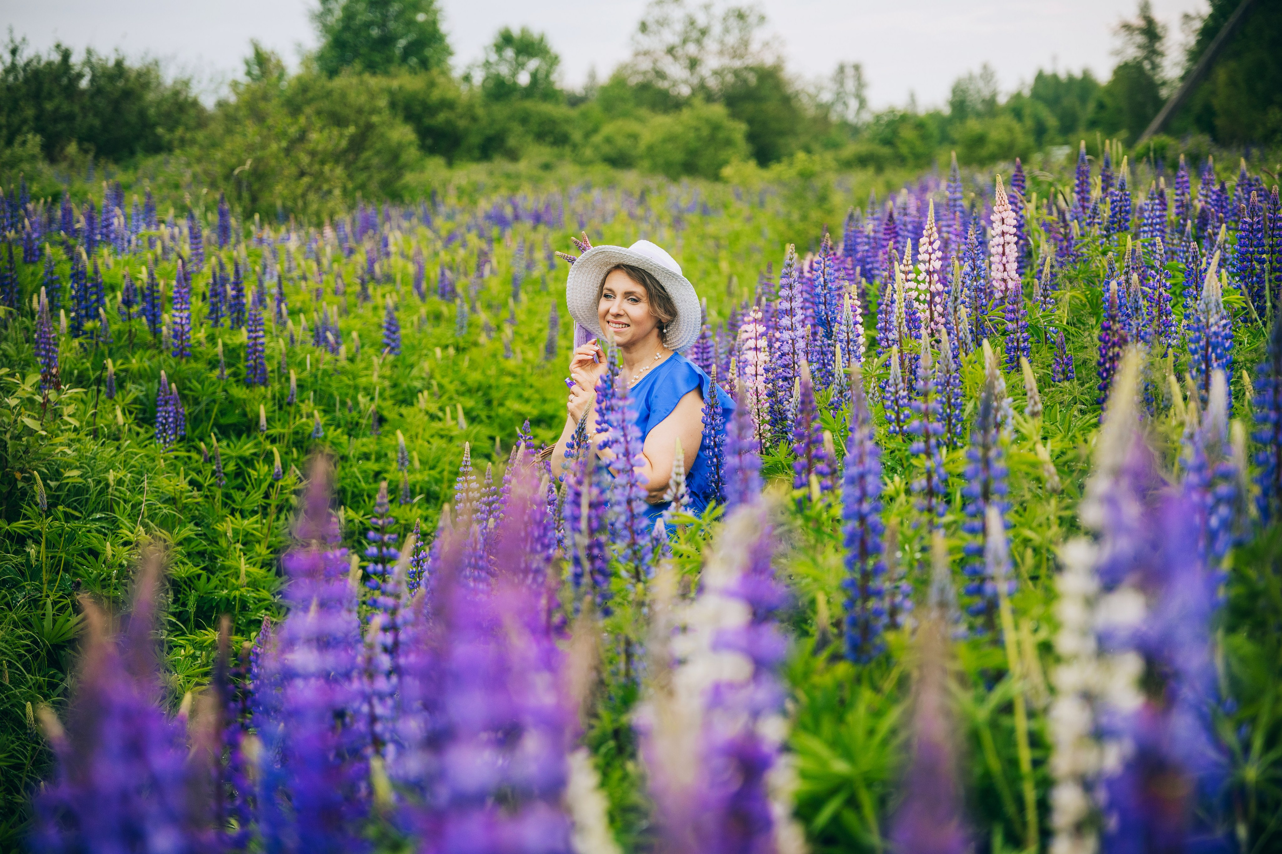 Люпины. Фотограф Александра Кузуб Санкт-Петербург
