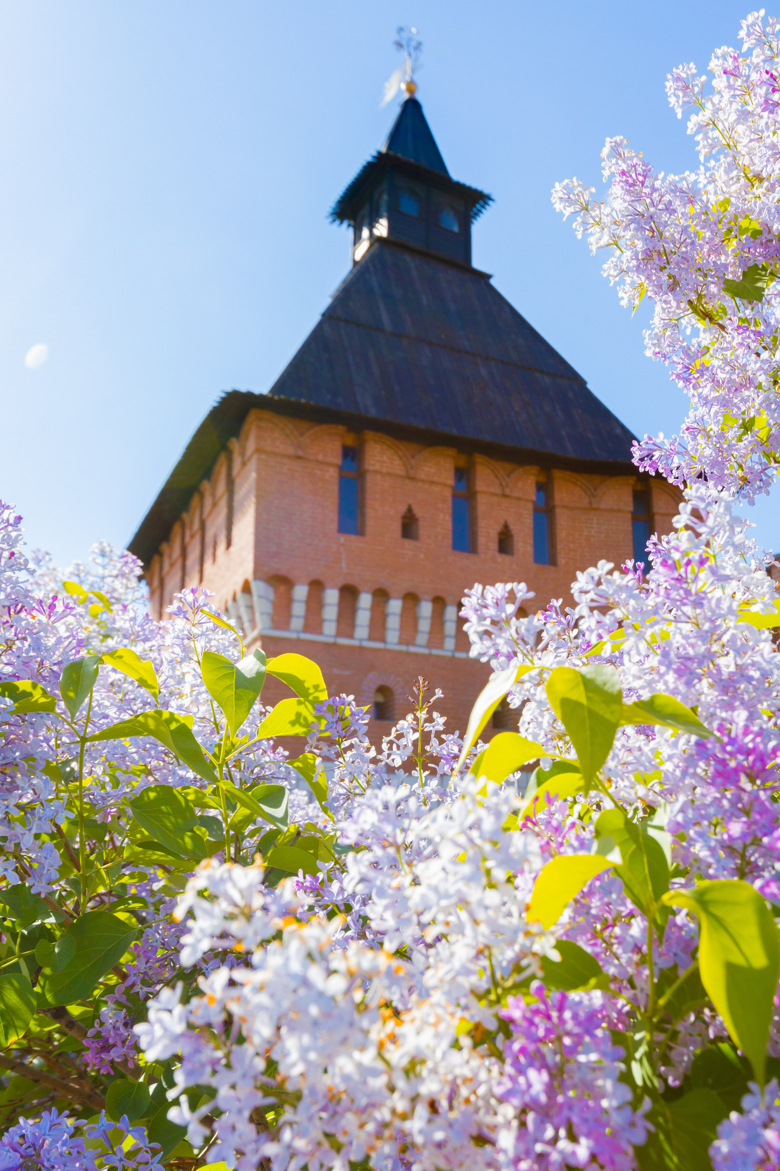 Весеннее цветение в Туле. Фотограф в Туле Крупский АнДРей. Фотостудия «КАДР71» в Туле