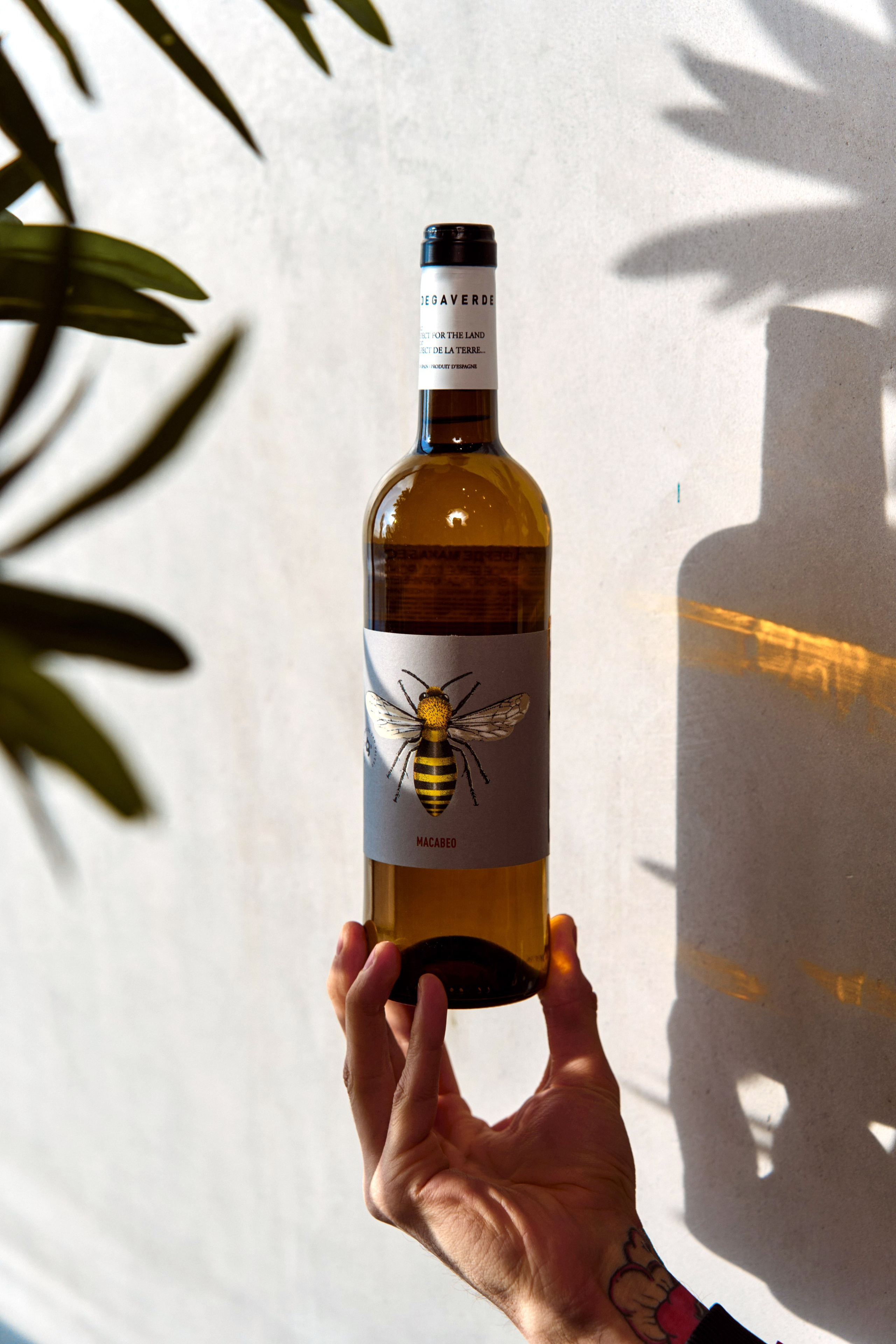 FOOD фотография. Фотограф Ольвия Капранова в Москве и московской области